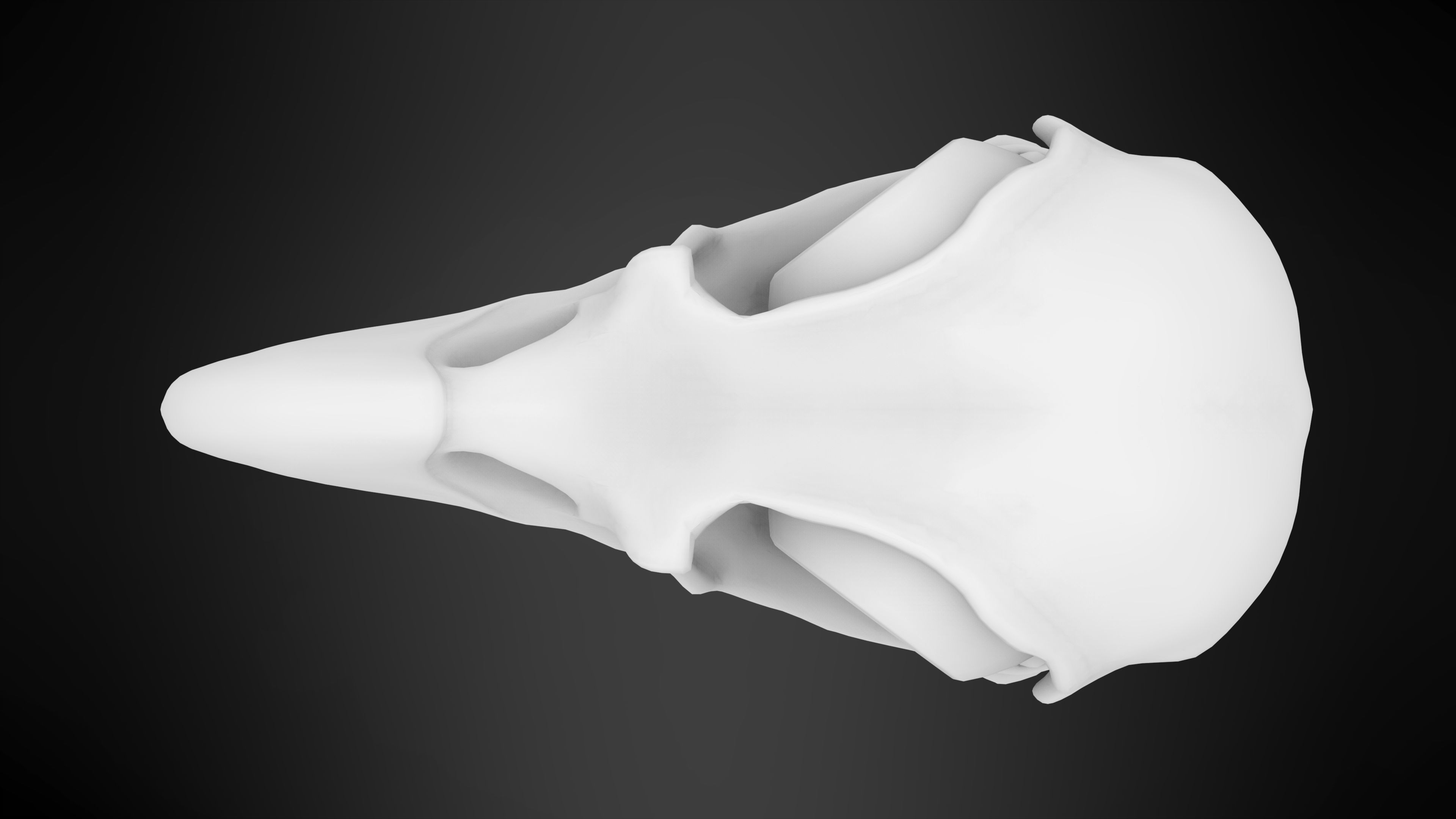 Eagle Skulls 3D model_17