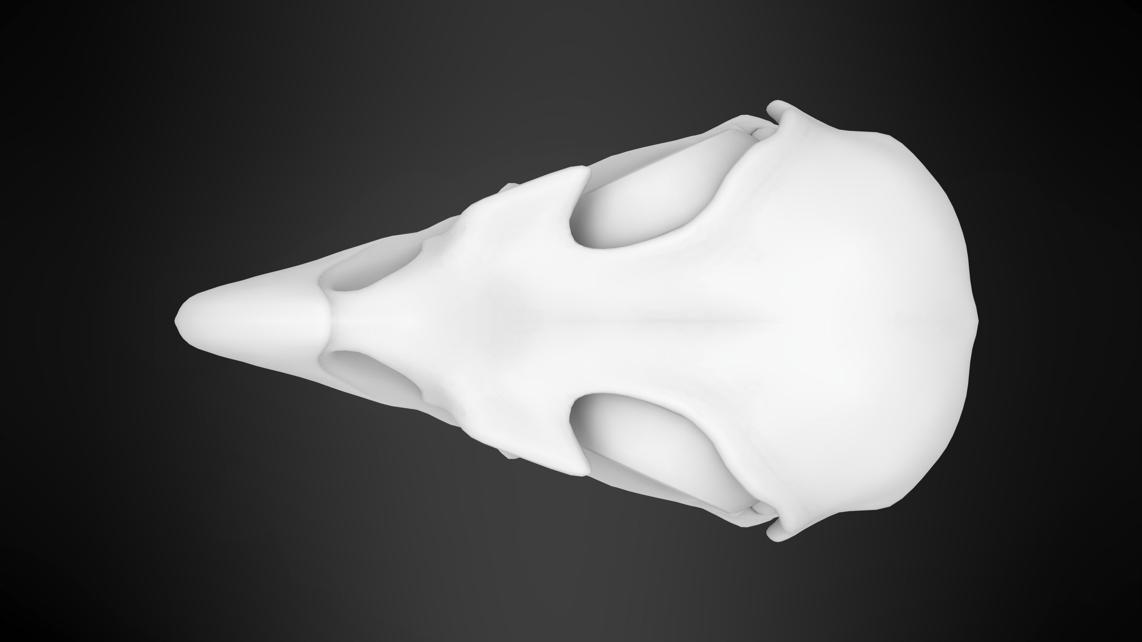 Eagle Skulls 3D model_13