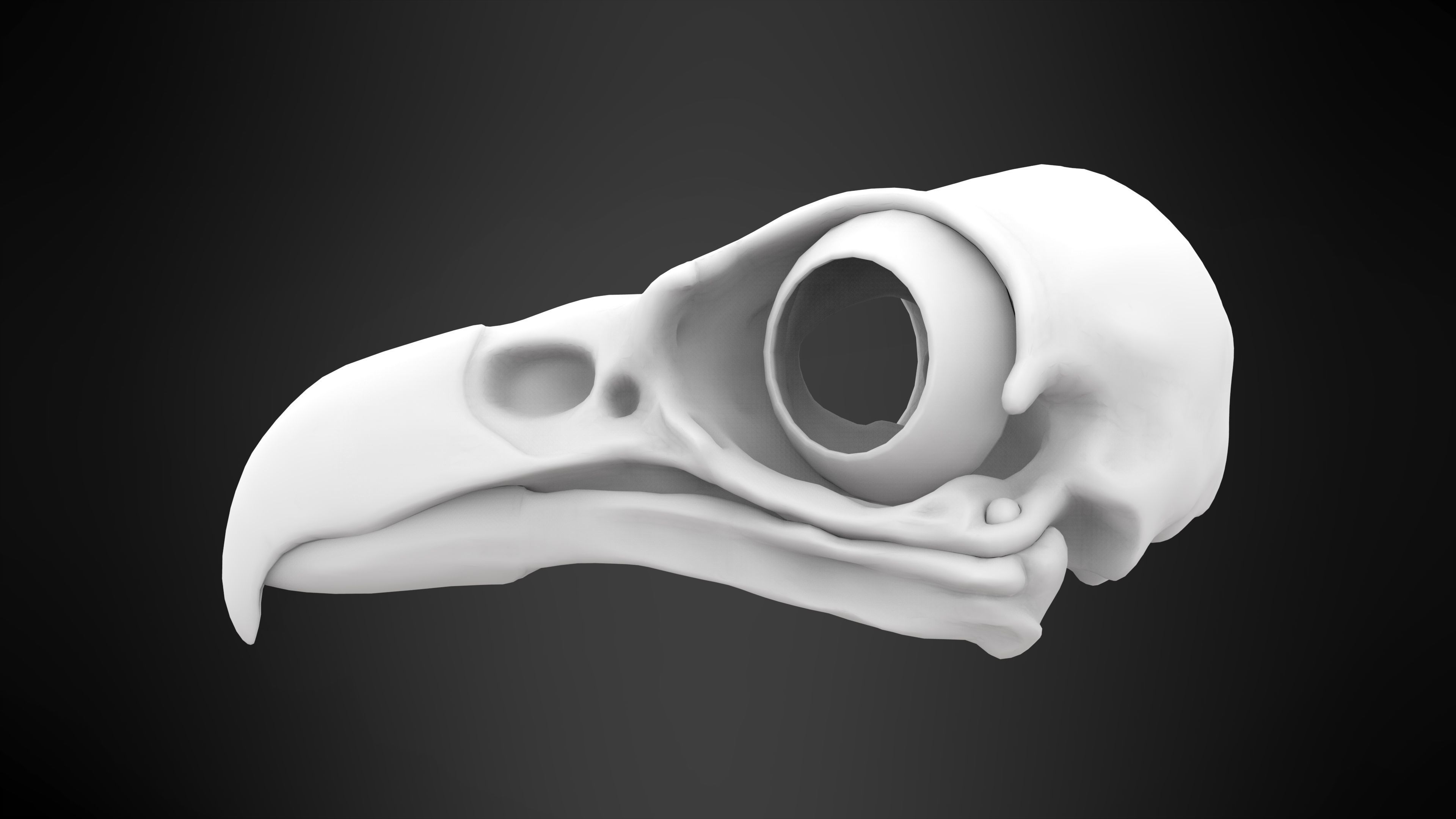 Eagle Skulls 3D model_15
