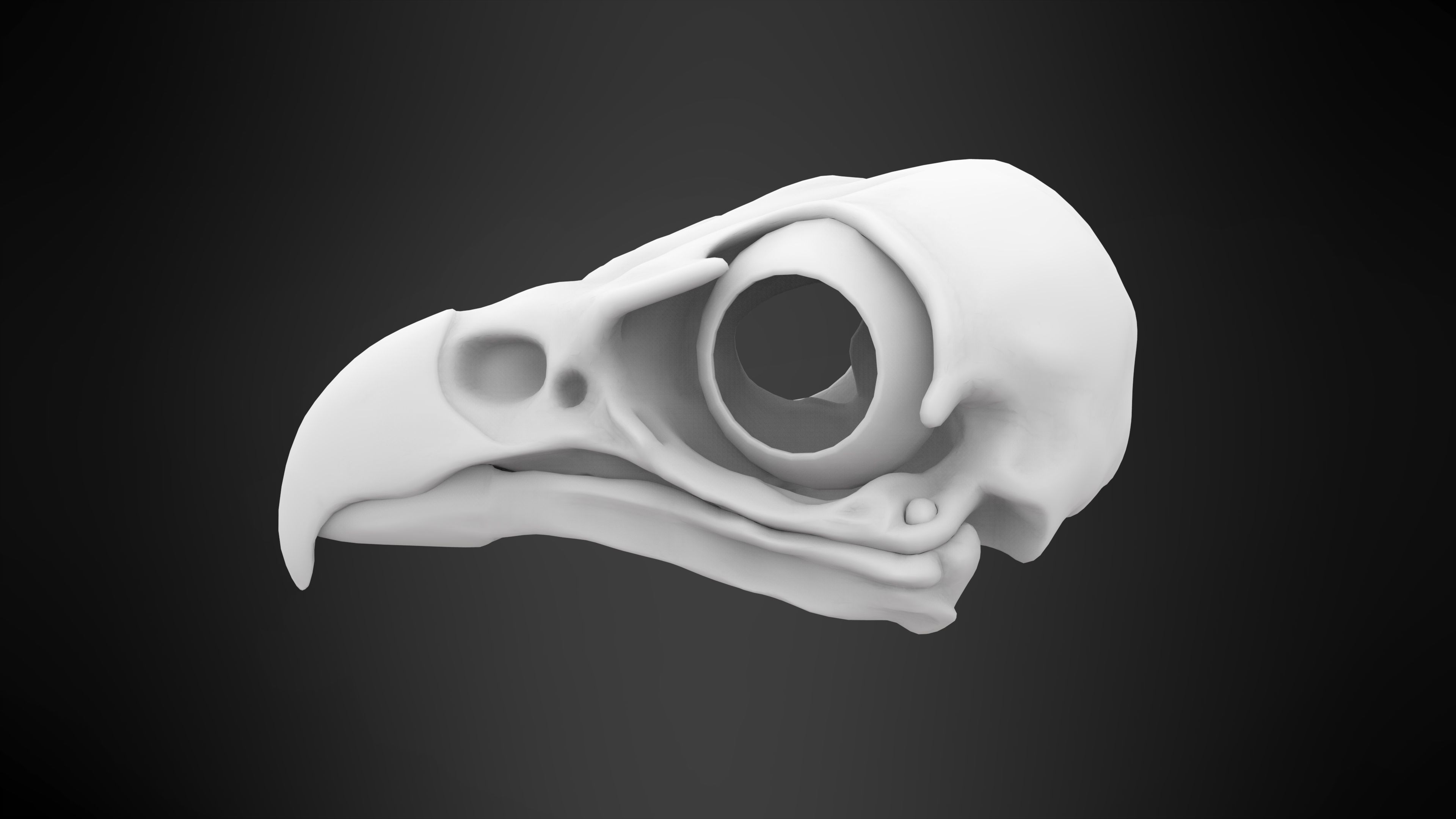 Eagle Skulls 3D model_11