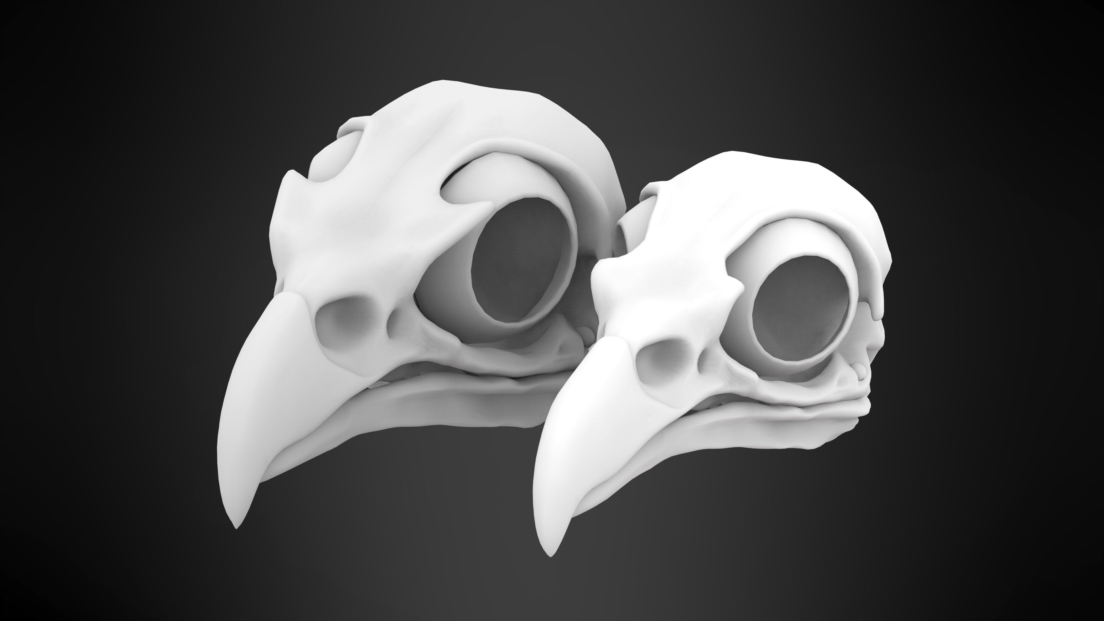 Eagle Skulls 3D model_9