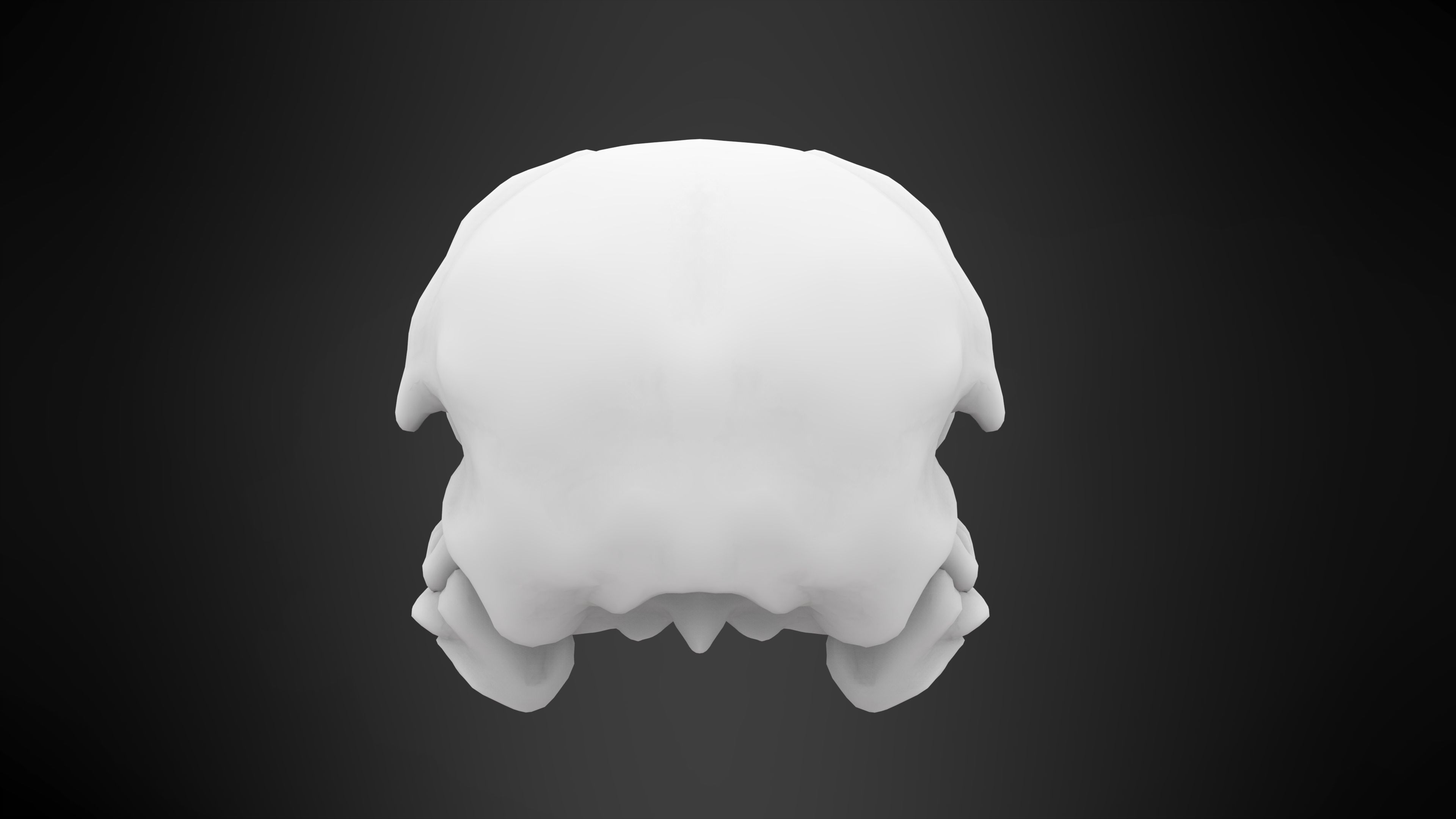 Eagle Skulls 3D model_12