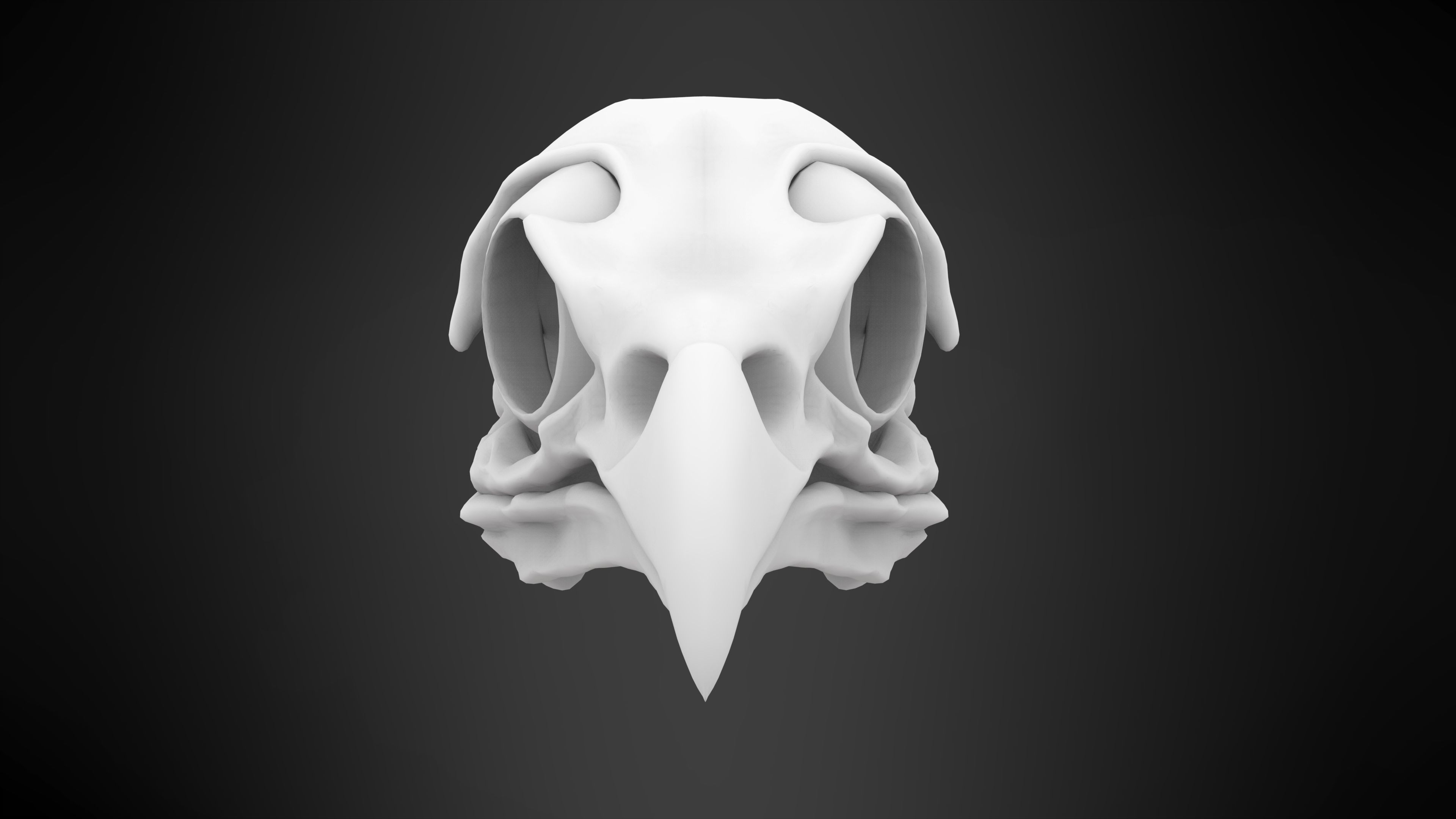 Eagle Skulls 3D model_10
