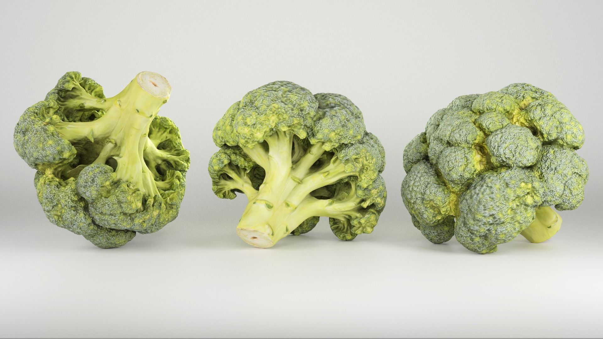 Cob of broccoli 27 Low-poly 3D model_2