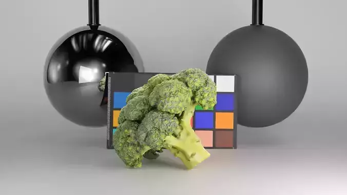 Cob of broccoli 27 Low-poly 3D model