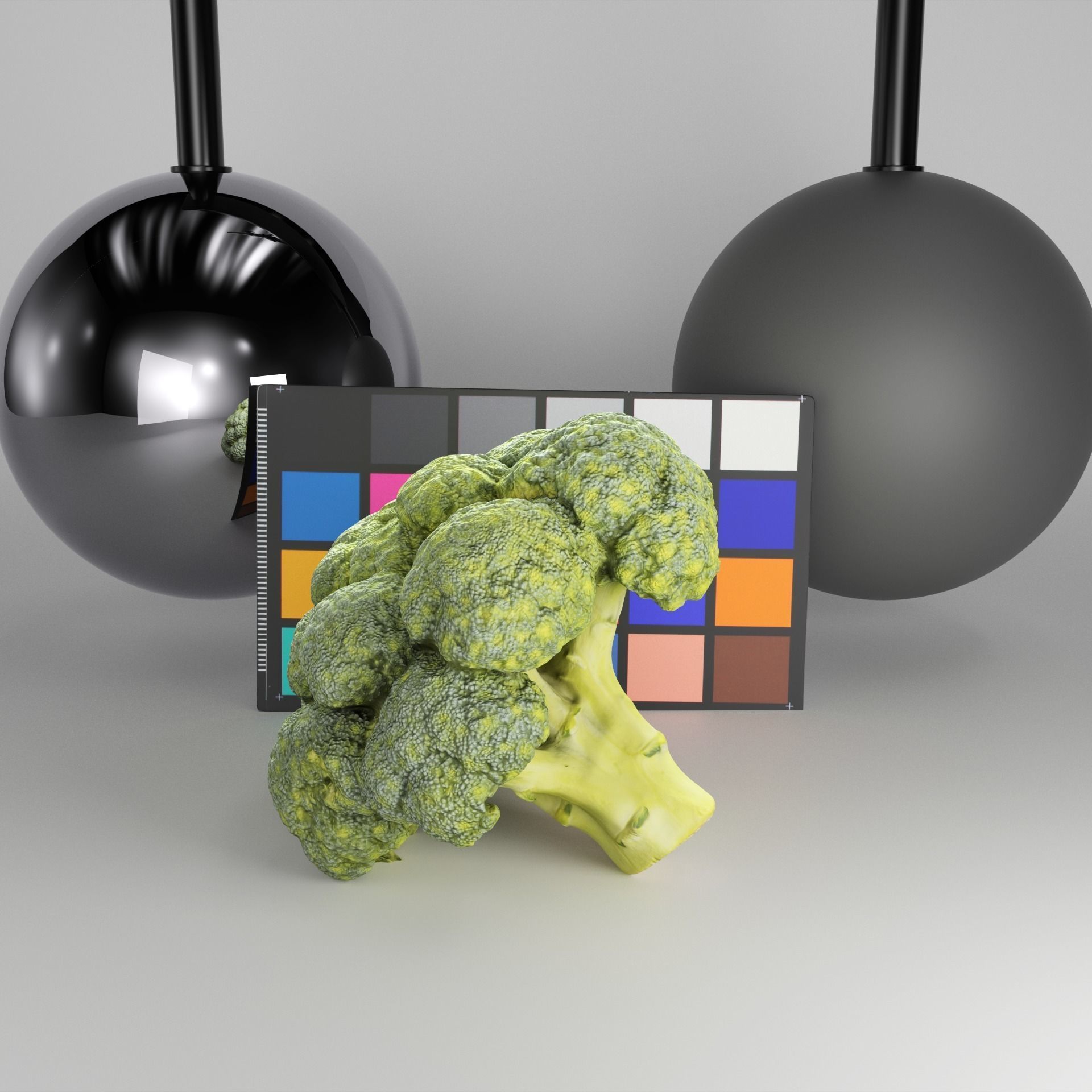 Cob of broccoli 27 Low-poly 3D model_1