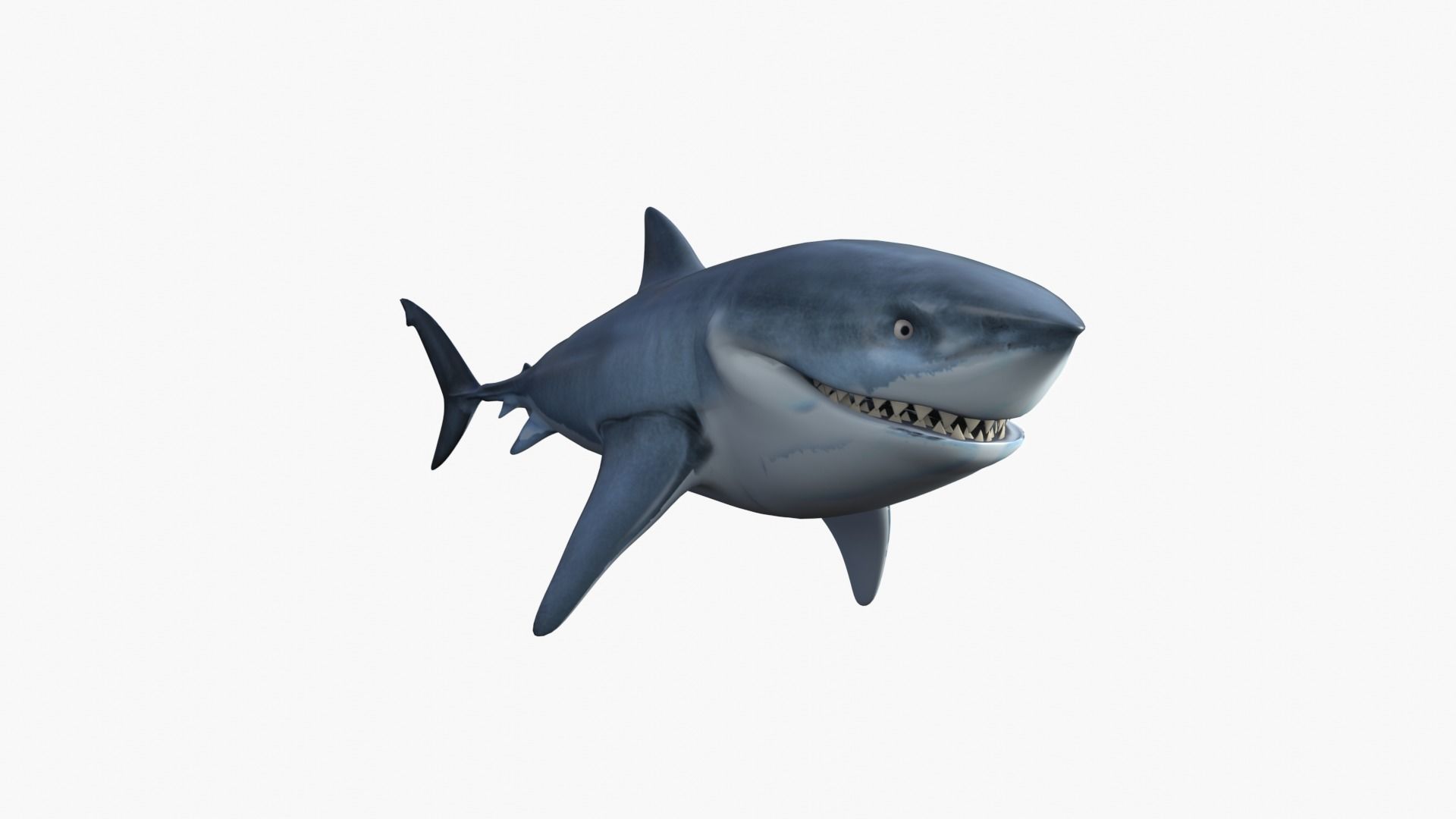 Bruce The Shark Low-poly 3D model_8