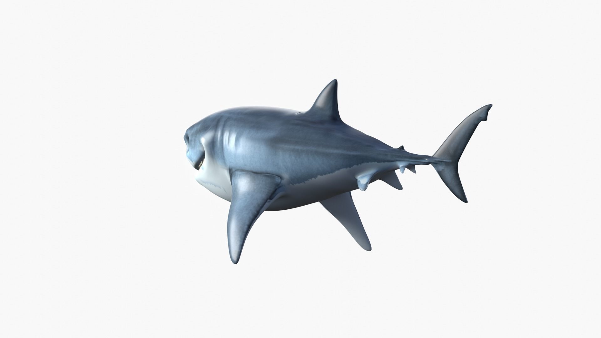 Bruce The Shark Low-poly 3D model_4