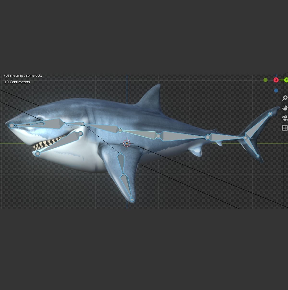 Bruce The Shark Low-poly 3D model_15
