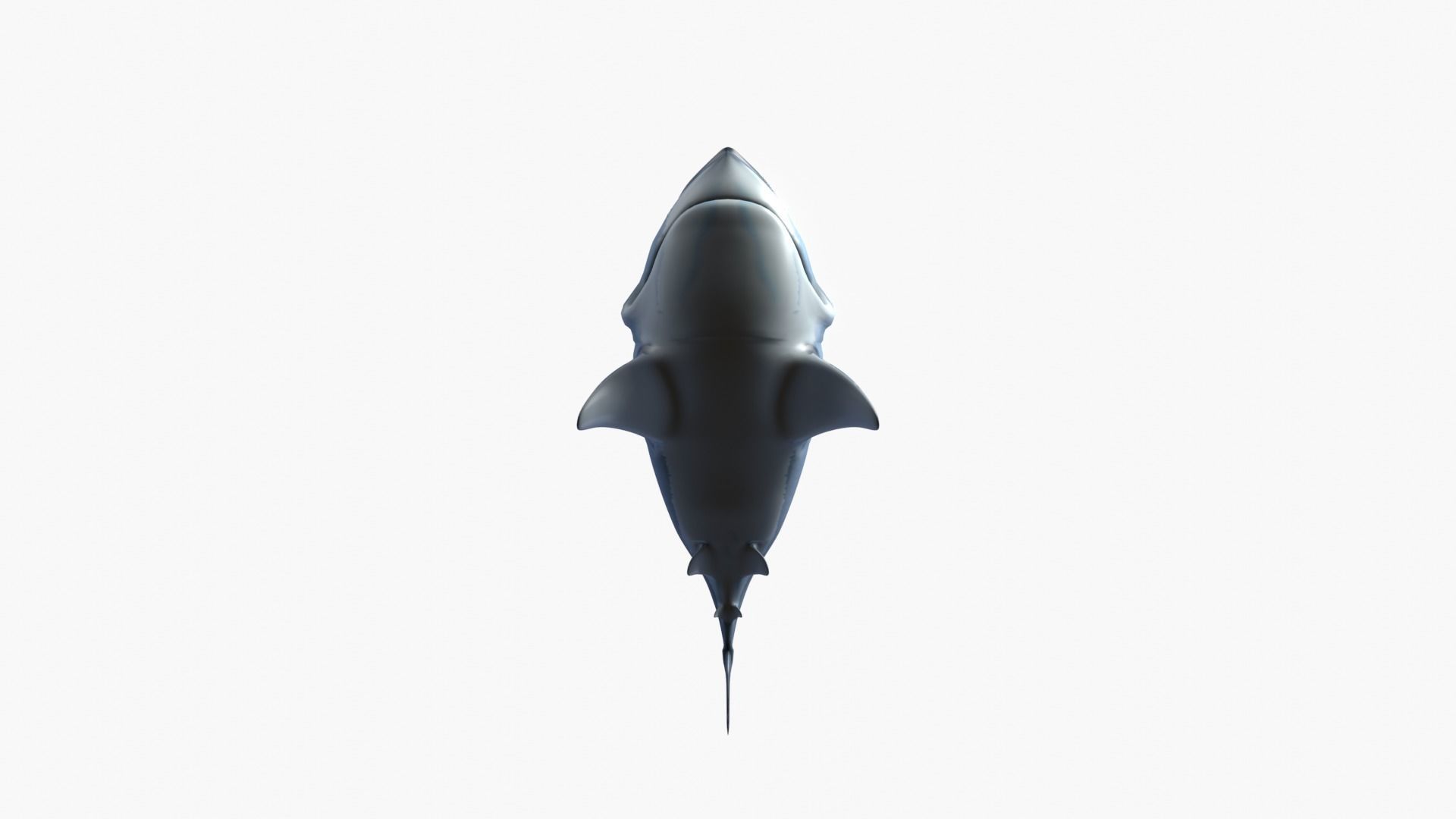 Bruce The Shark Low-poly 3D model_10