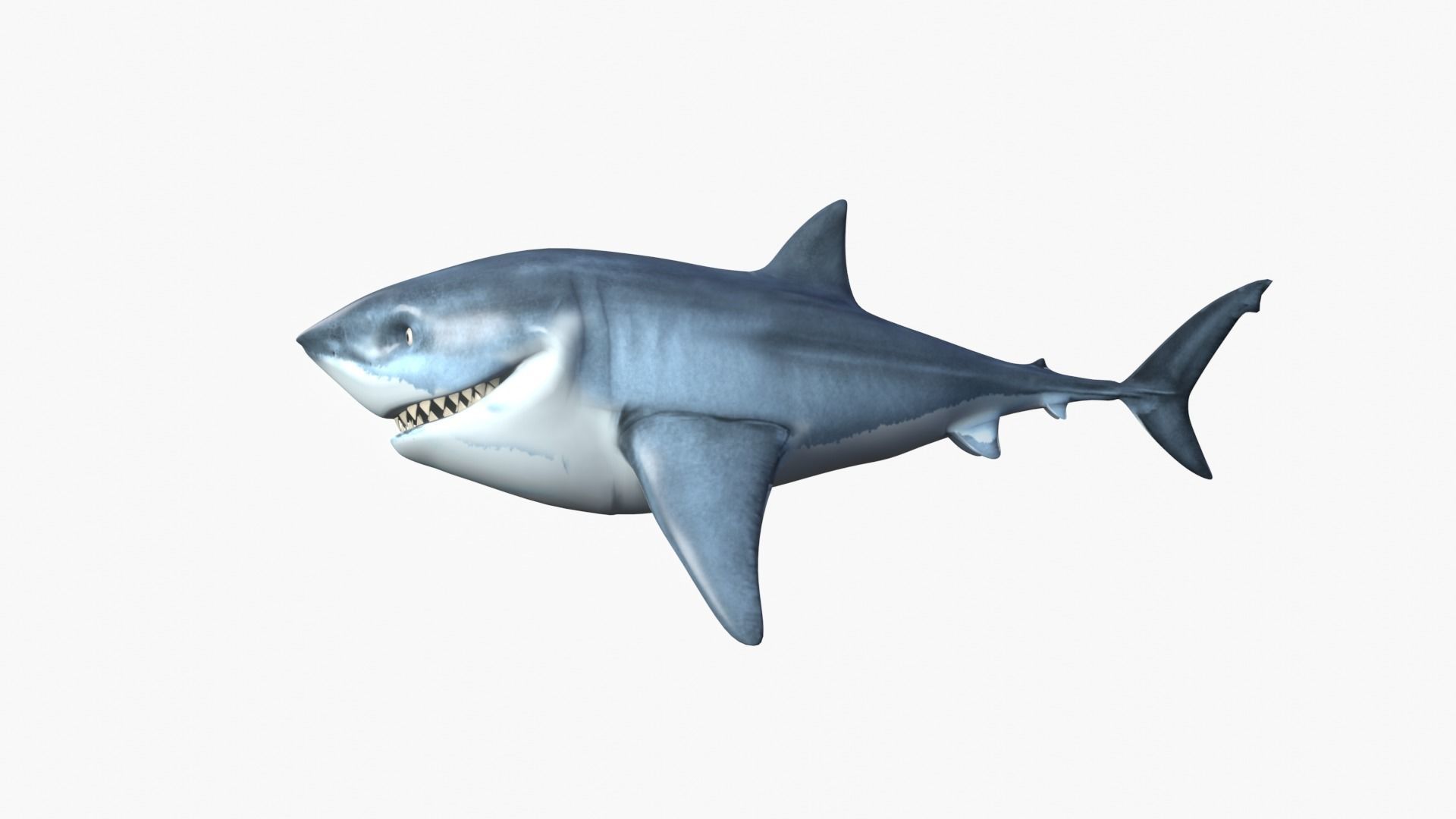 Bruce The Shark Low-poly 3D model_3