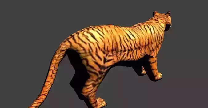 3D Low poly Tiger