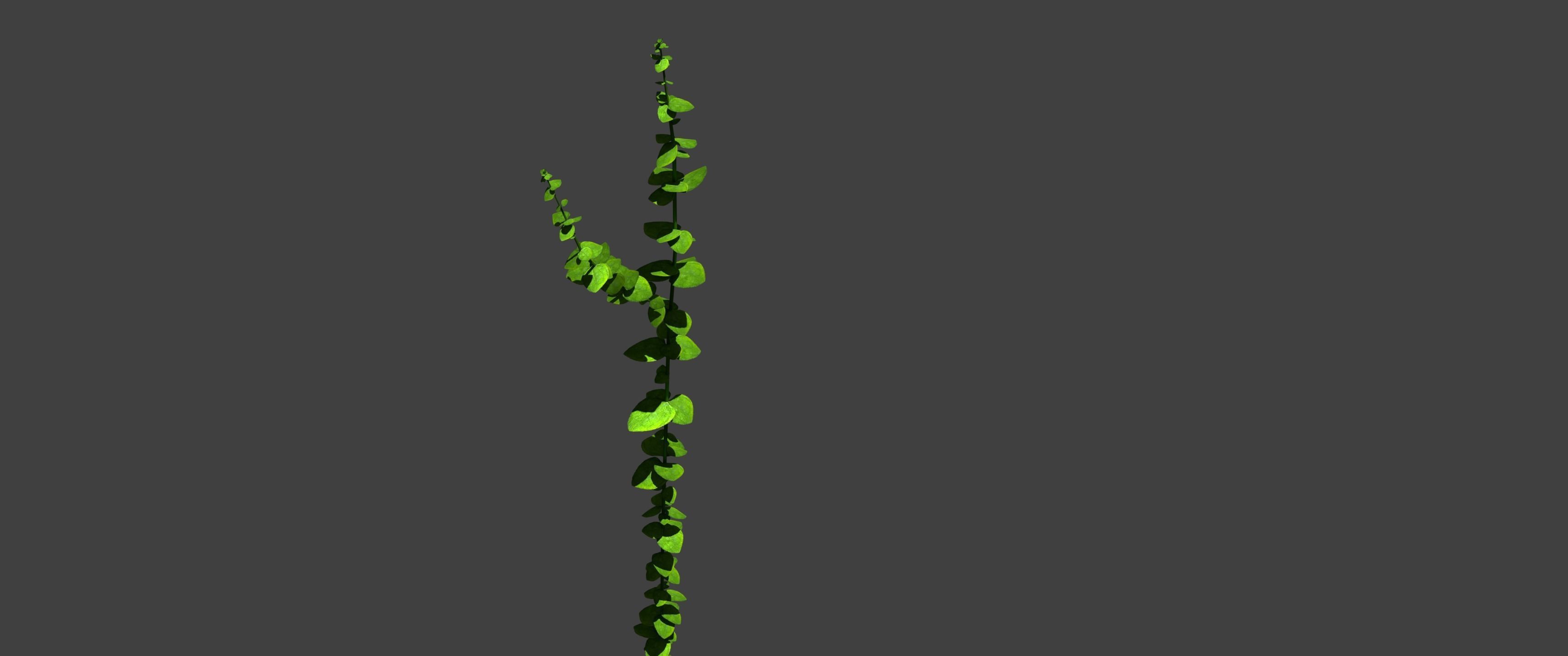 Waterweed - Vertex Low-poly 3D model_3