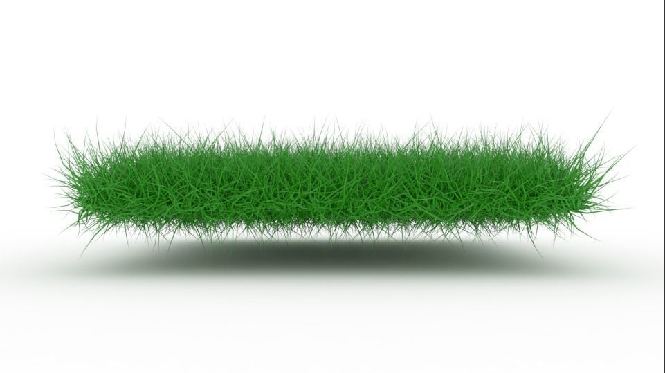 Grass Low-poly 3D model_3