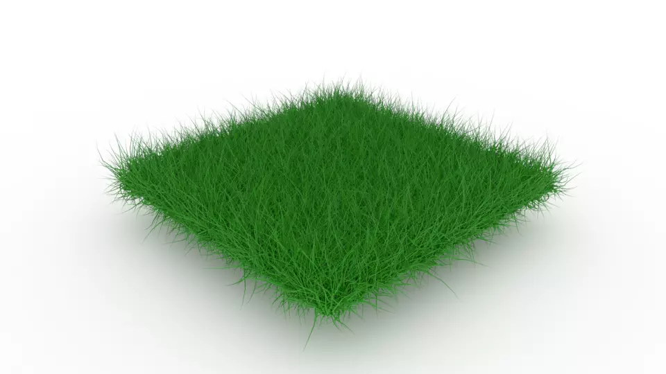 Grass Low-poly 3D model_0