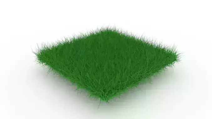 Grass