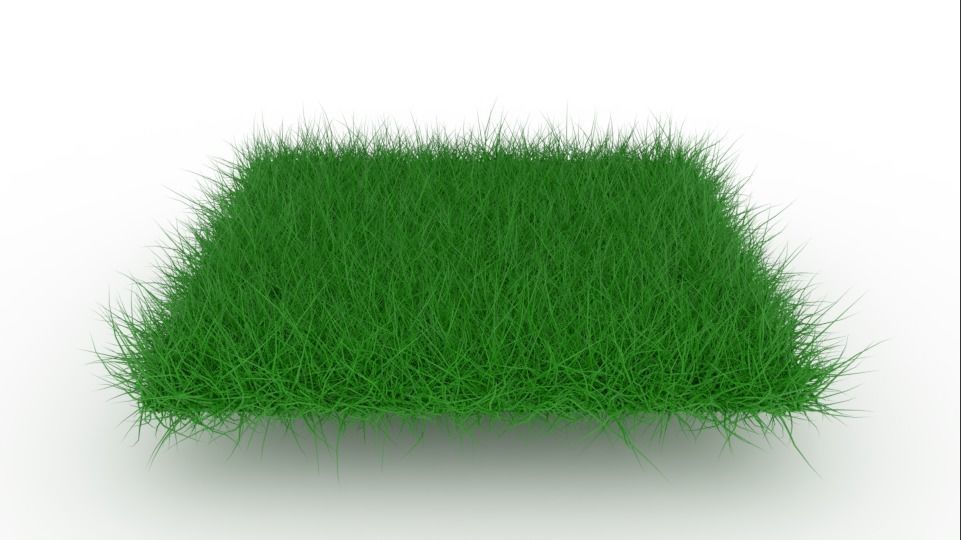 Grass Low-poly 3D model_1