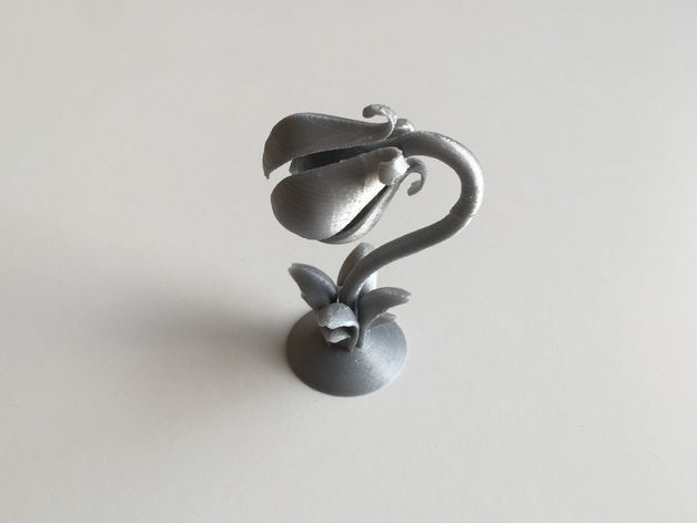 Audrey Flower PVA test 3D print model_3