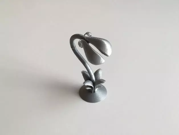 Audrey Flower PVA test 3D print model_0