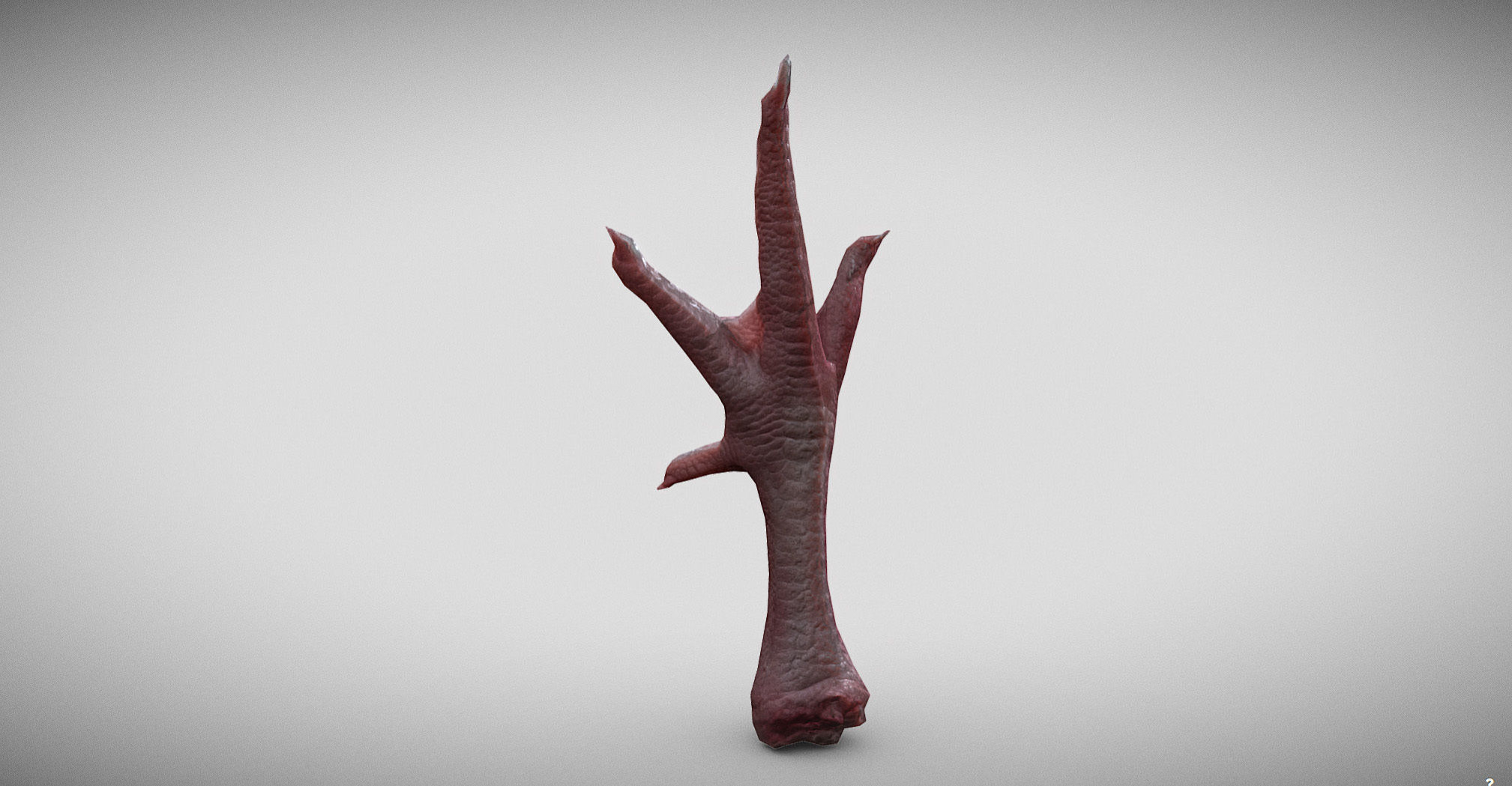 Raw Chicken feet 3dscan model Low-poly 3D model_6