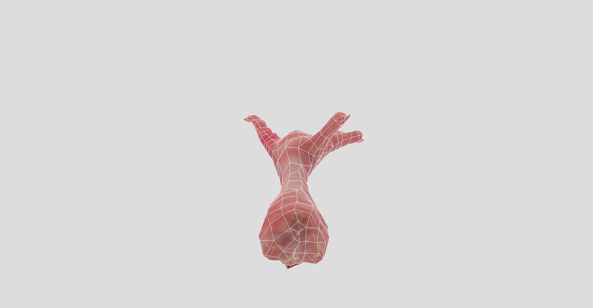 Raw Chicken feet 3dscan model Low-poly 3D model_46