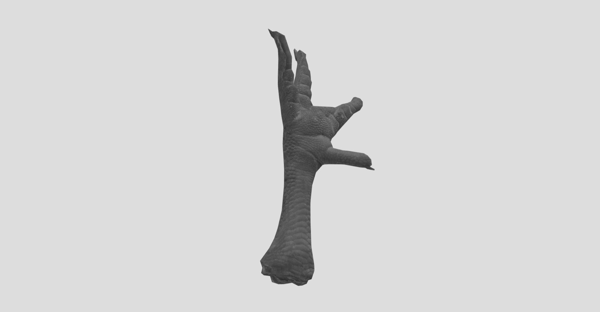 Raw Chicken feet 3dscan model Low-poly 3D model_29