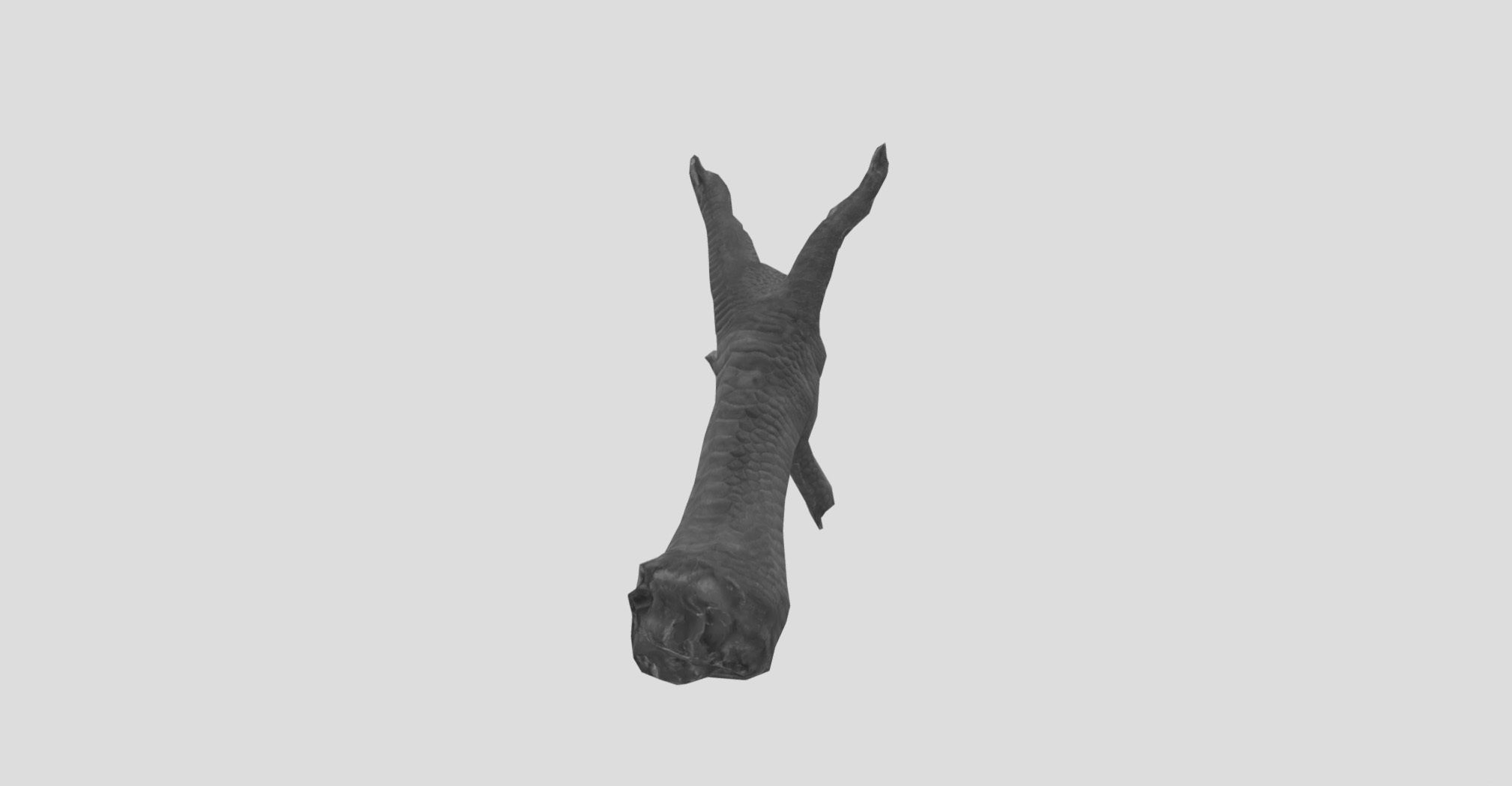 Raw Chicken feet 3dscan model Low-poly 3D model_28