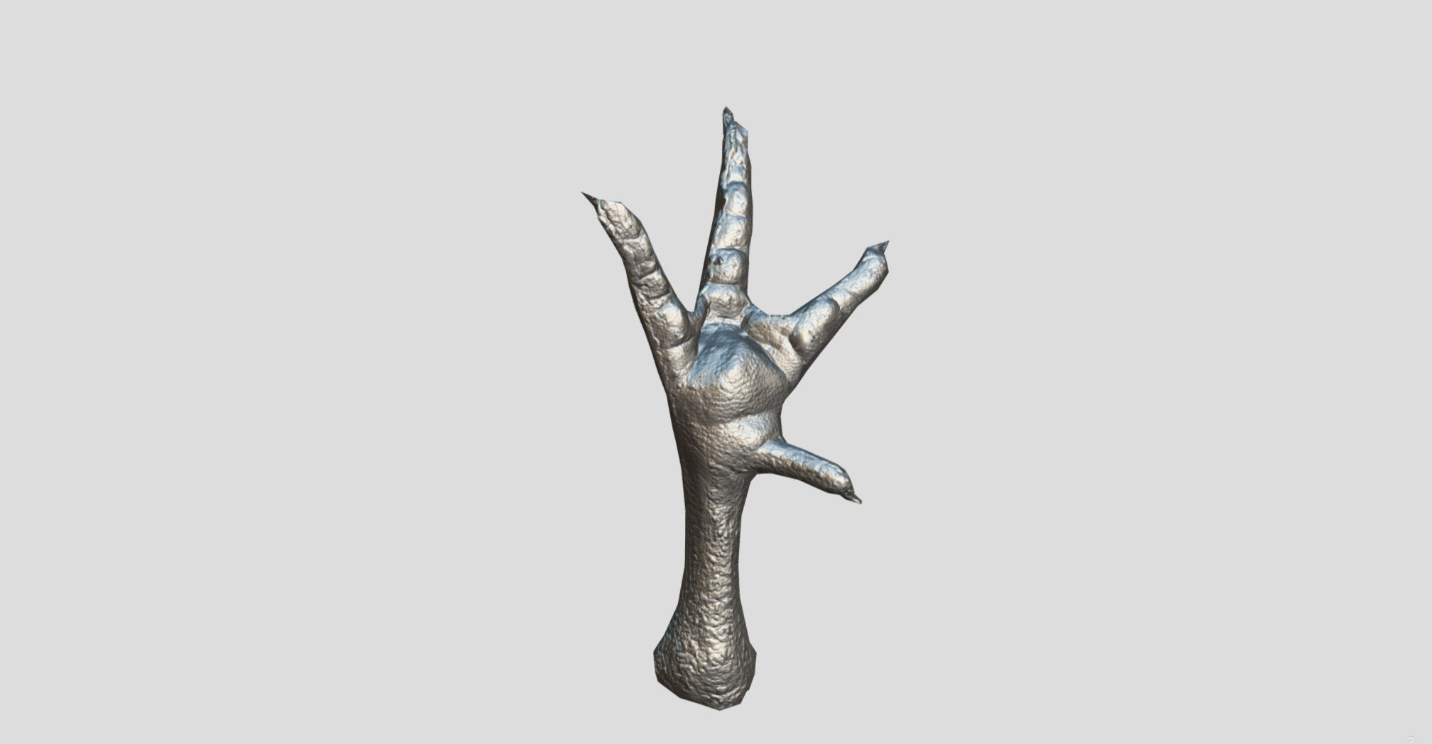 Raw Chicken feet 3dscan model Low-poly 3D model_35