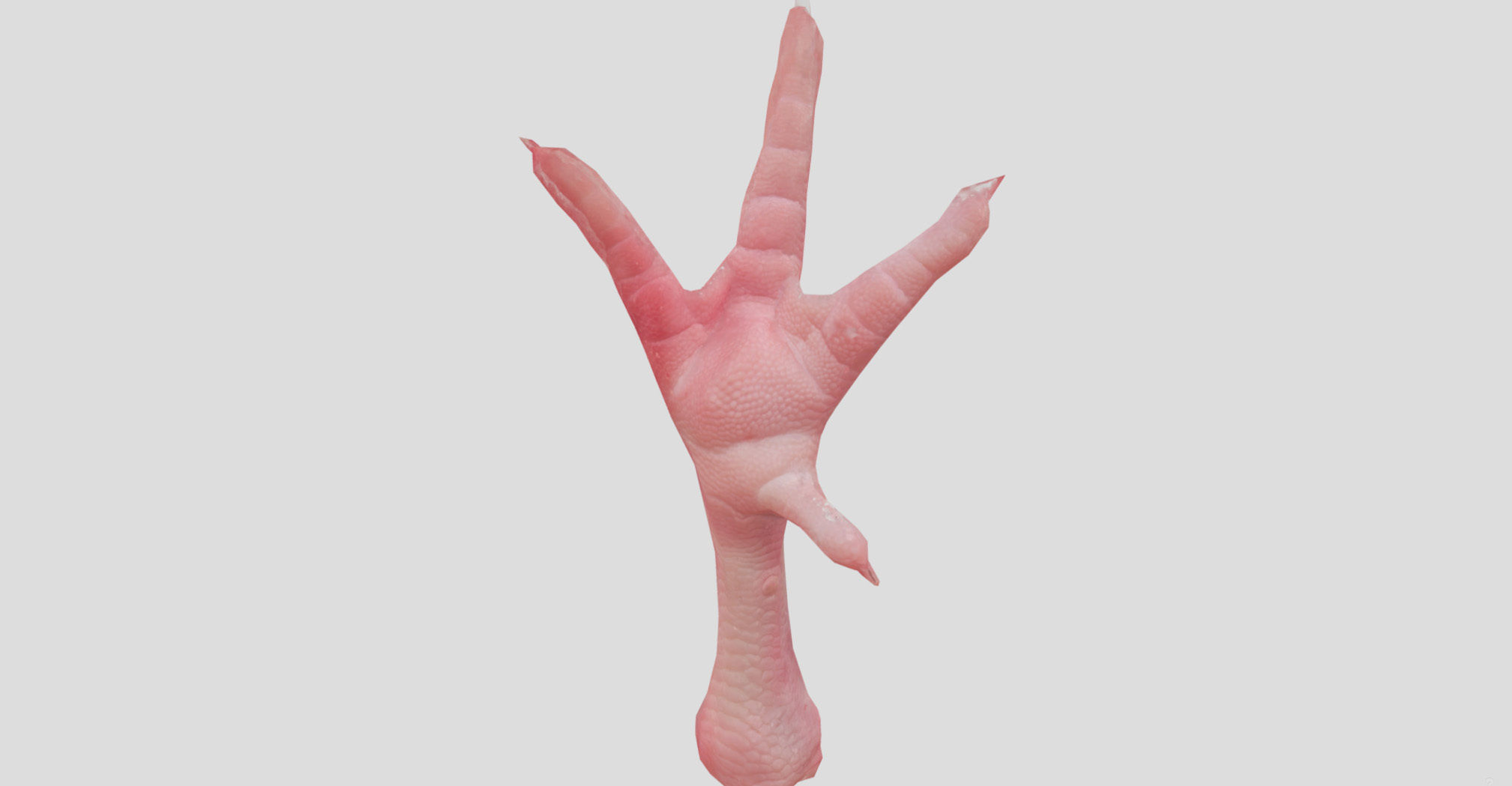 Raw Chicken feet 3dscan model Low-poly 3D model_16