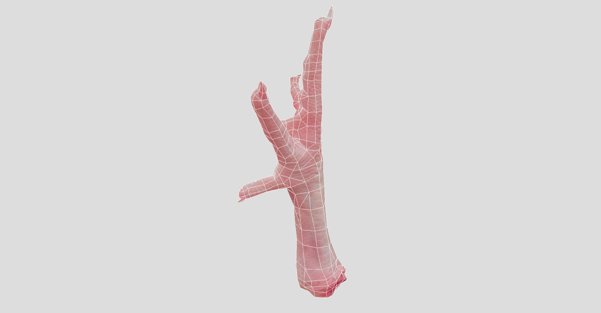 Raw Chicken feet 3dscan model Low-poly 3D model_49
