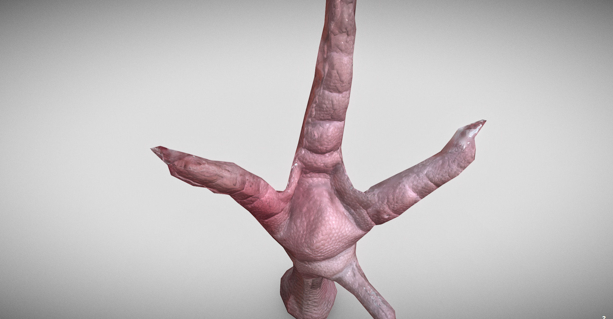 Raw Chicken feet 3dscan model Low-poly 3D model_10