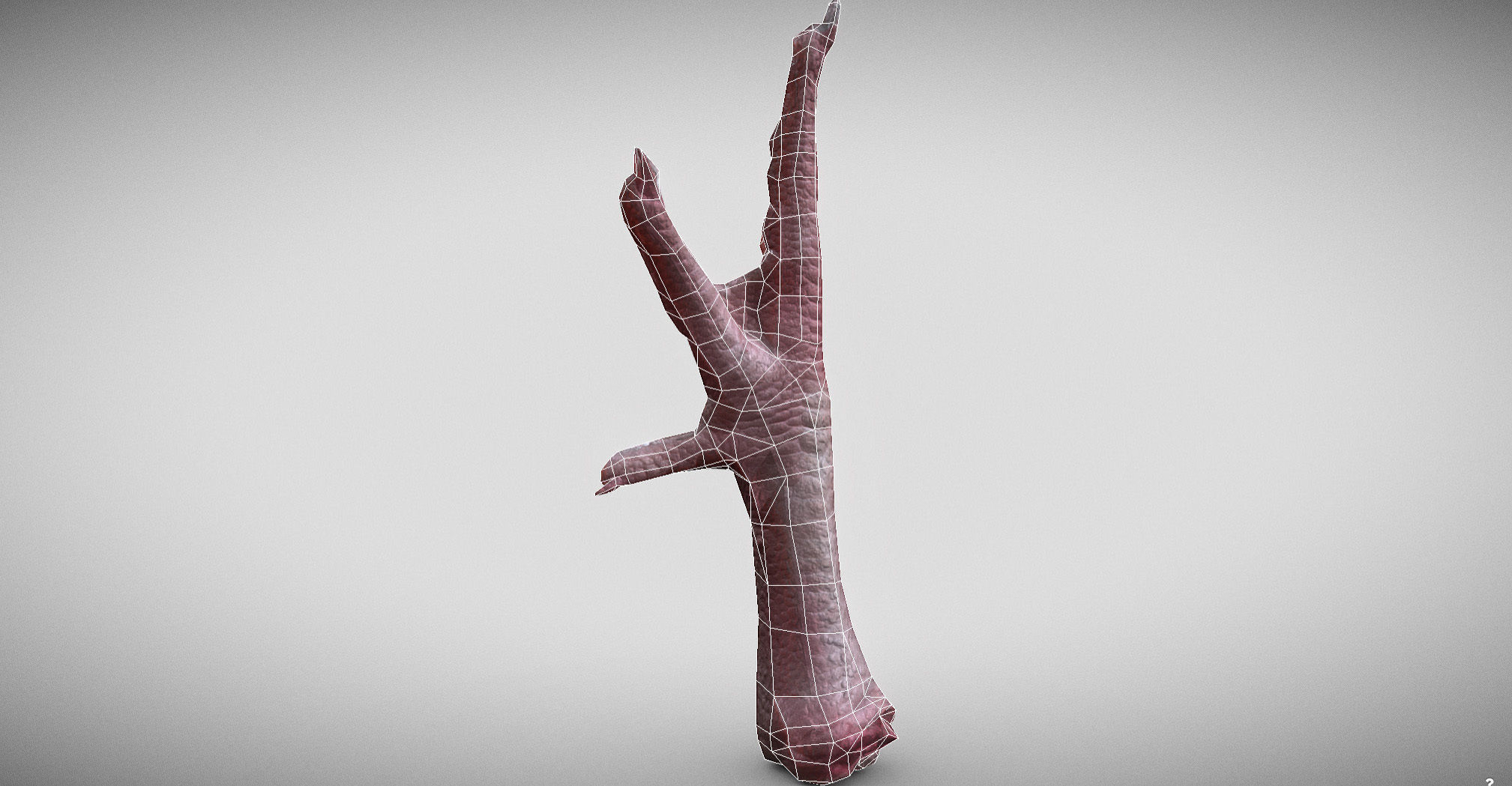 Raw Chicken feet 3dscan model Low-poly 3D model_42