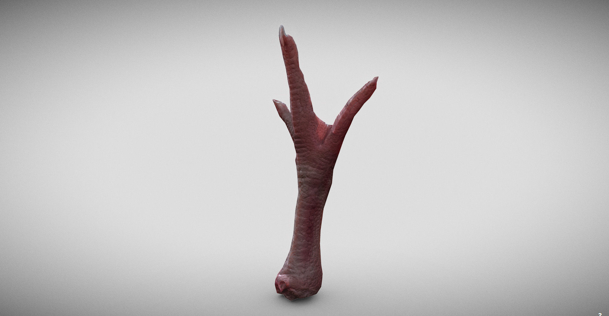 Raw Chicken feet 3dscan model Low-poly 3D model_8