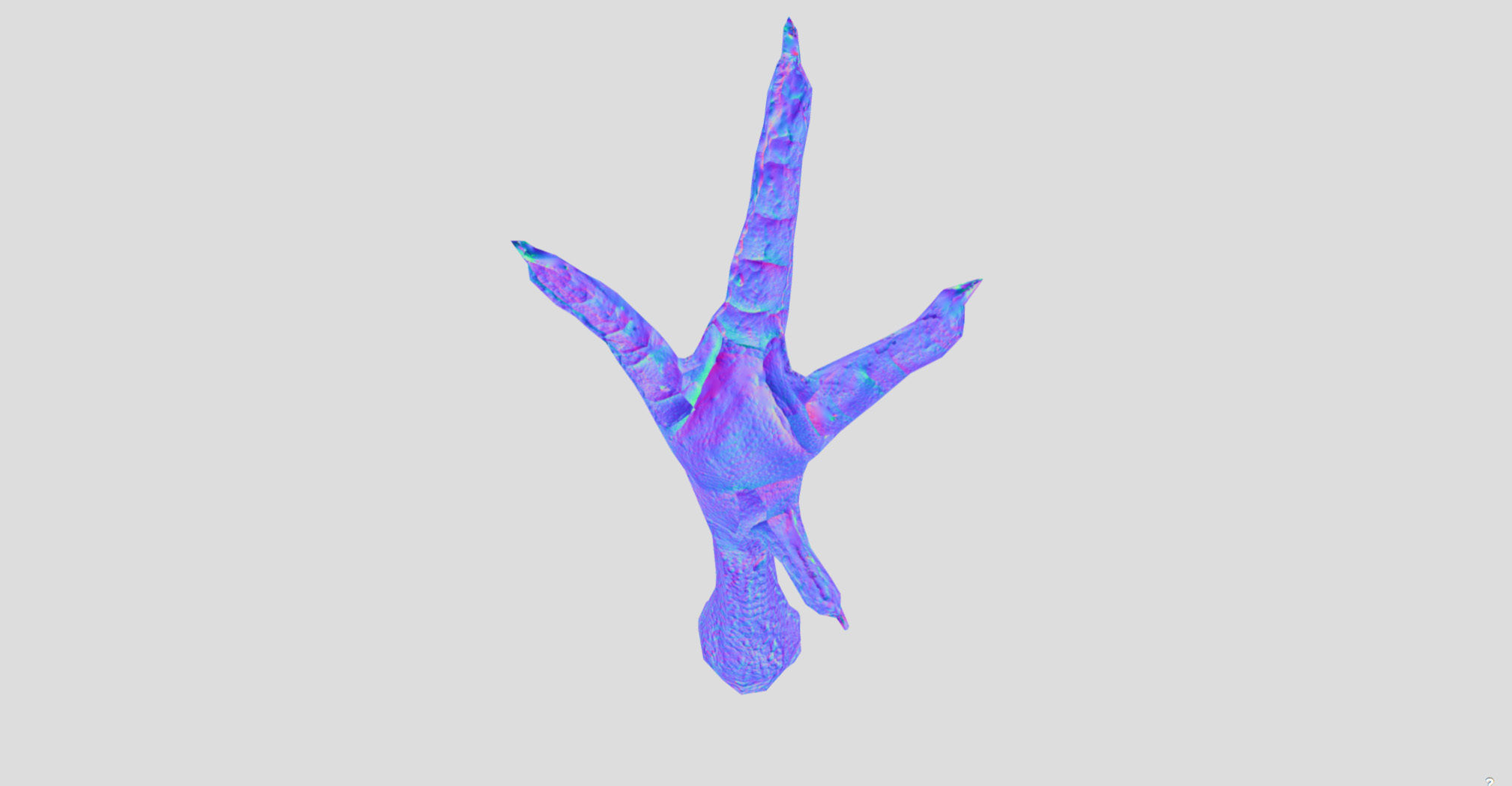 Raw Chicken feet 3dscan model Low-poly 3D model_24