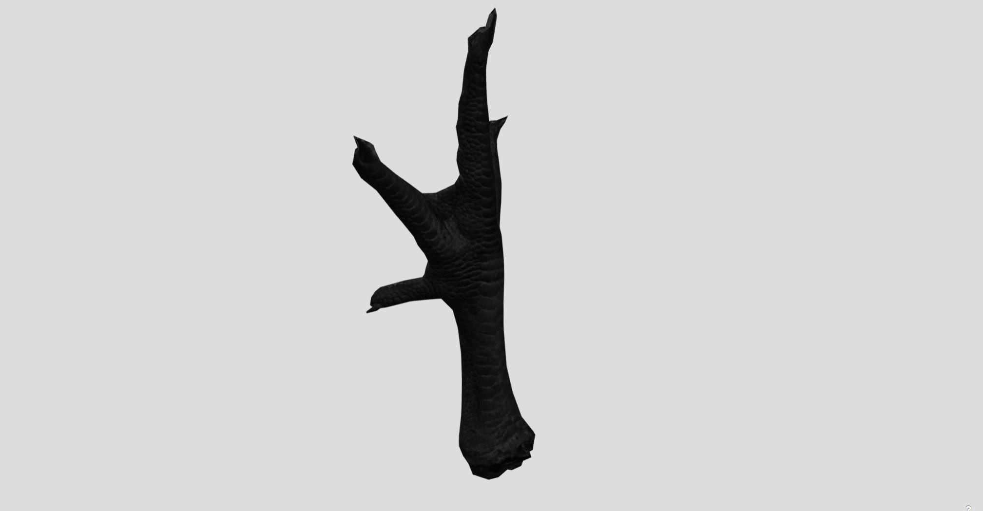 Raw Chicken feet 3dscan model Low-poly 3D model_20