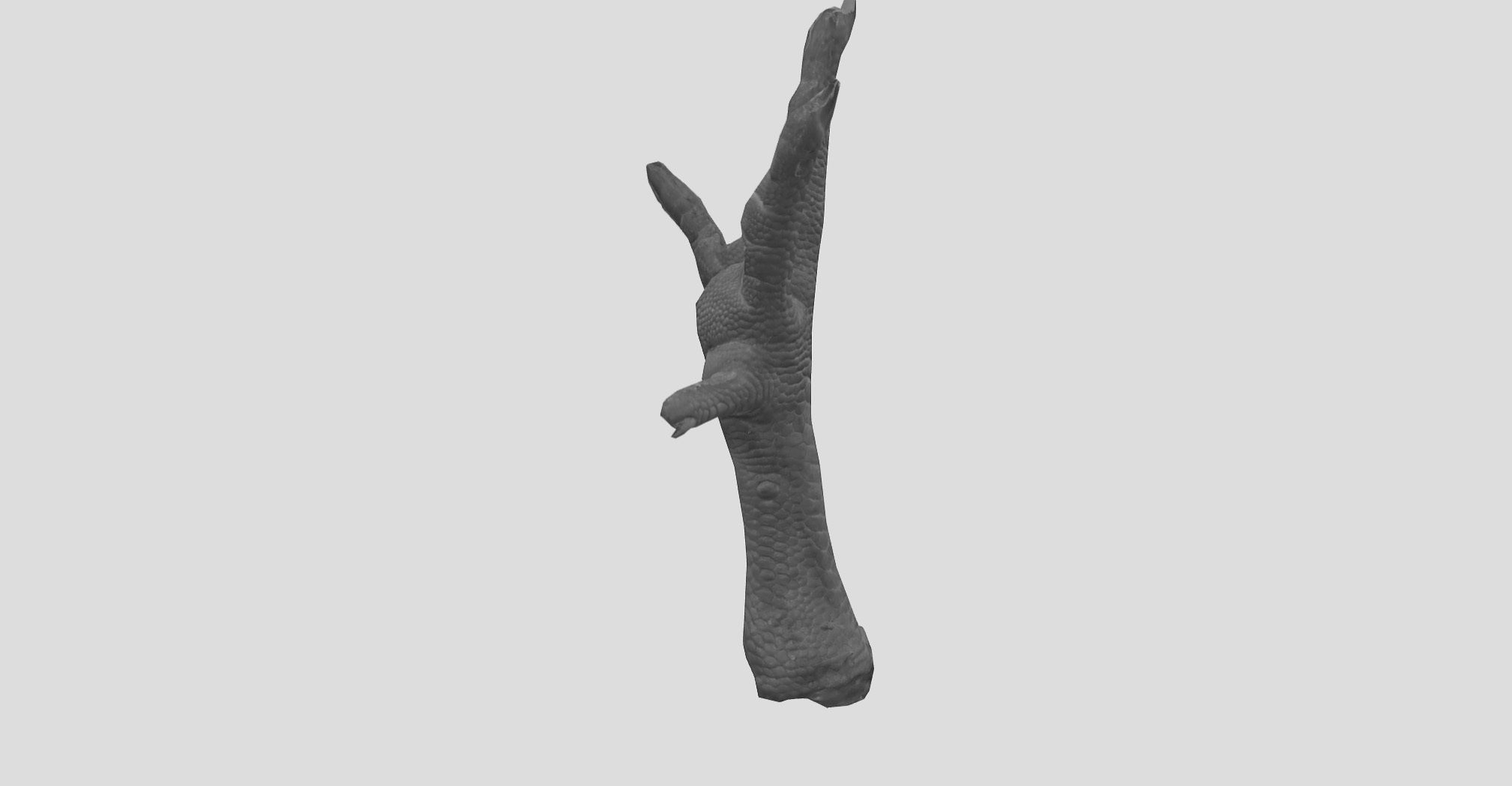 Raw Chicken feet 3dscan model Low-poly 3D model_31