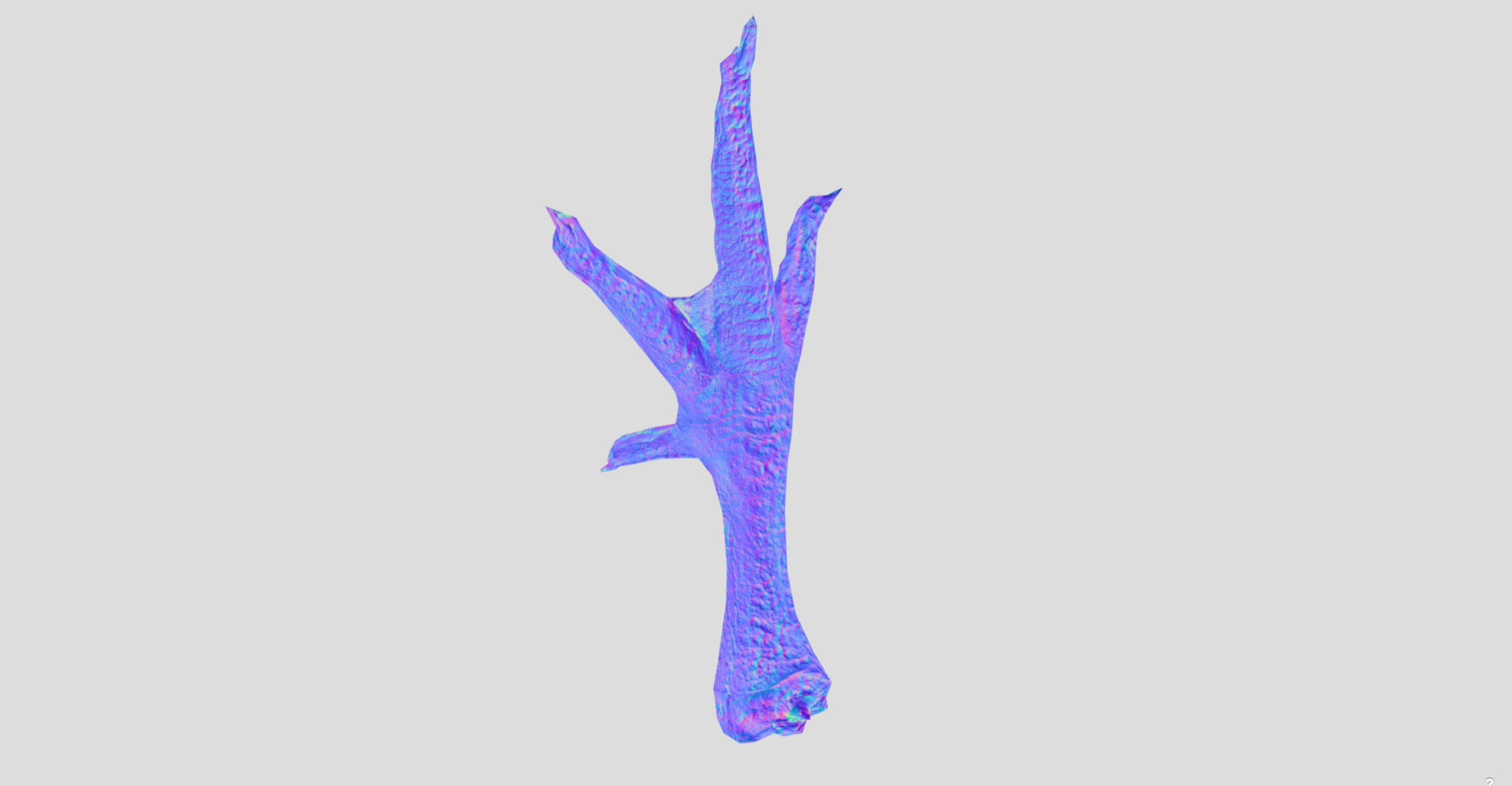 Raw Chicken feet 3dscan model Low-poly 3D model_21