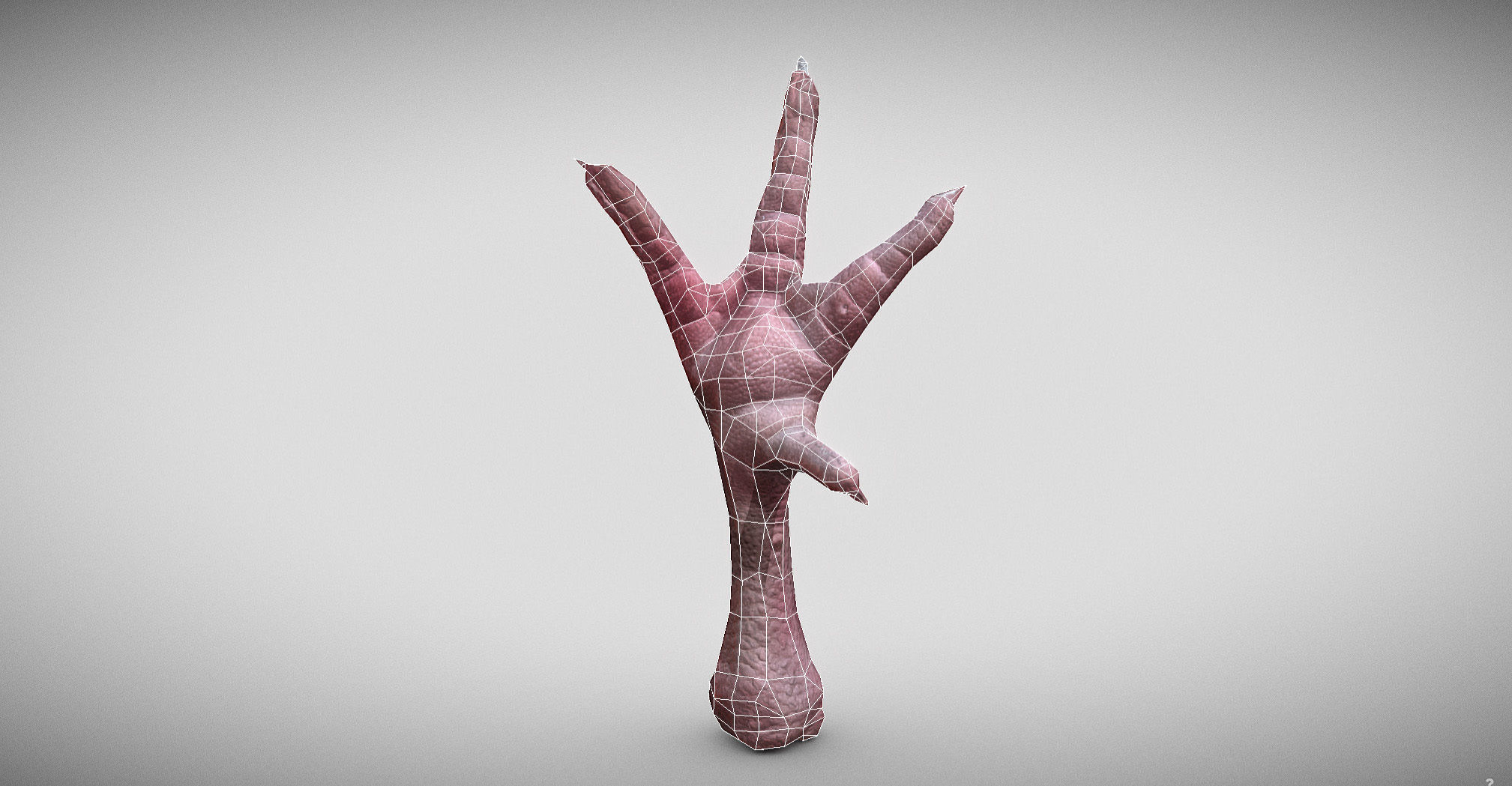 Raw Chicken feet 3dscan model Low-poly 3D model_44