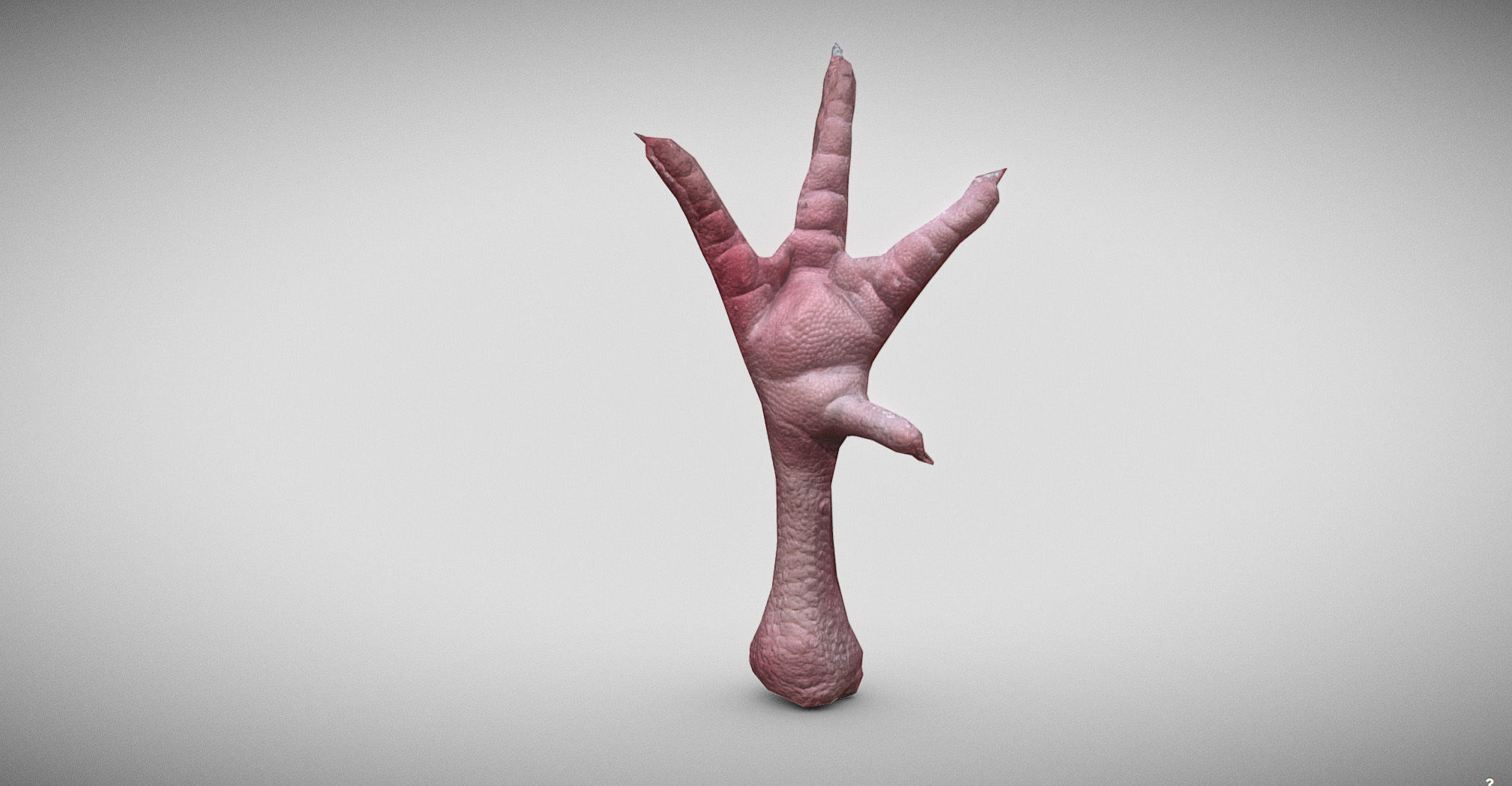 Raw Chicken feet 3dscan model Low-poly 3D model_2