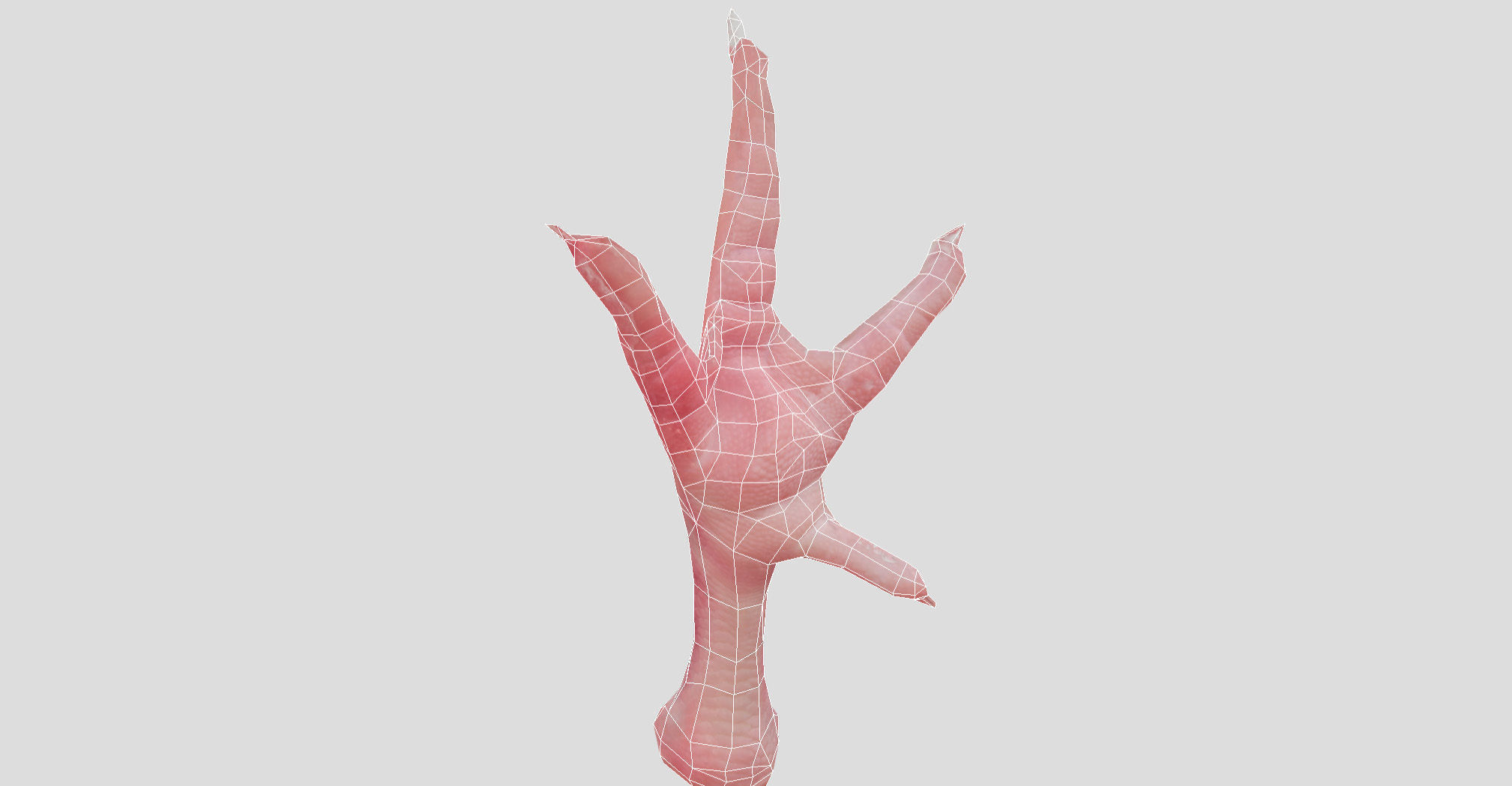 Raw Chicken feet 3dscan model Low-poly 3D model_50