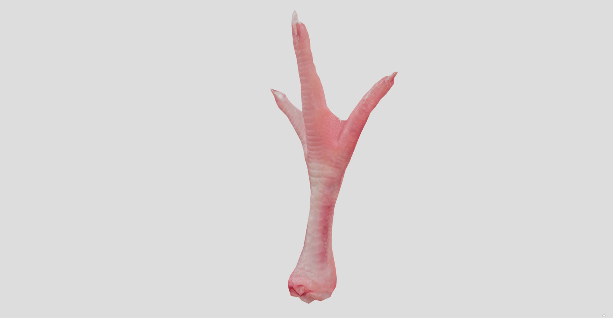 Raw Chicken feet 3dscan model Low-poly 3D model_19