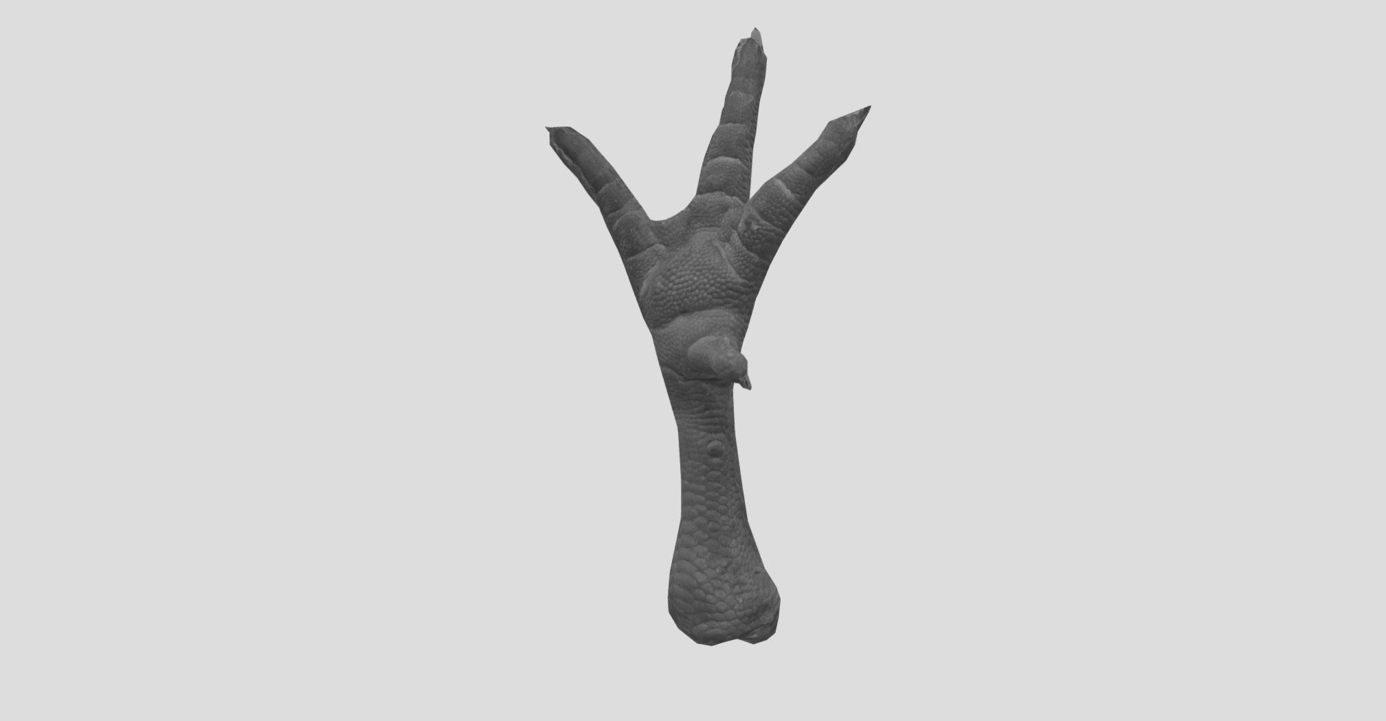 Raw Chicken feet 3dscan model Low-poly 3D model_30
