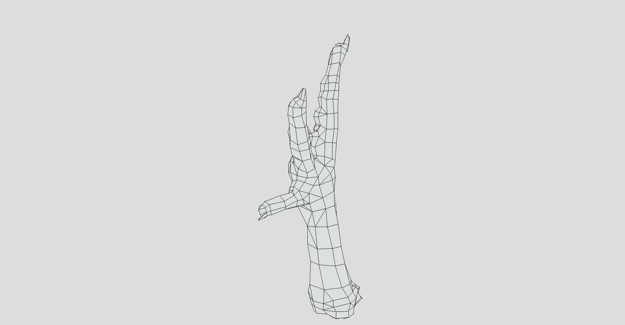 Raw Chicken feet 3dscan model Low-poly 3D model_37