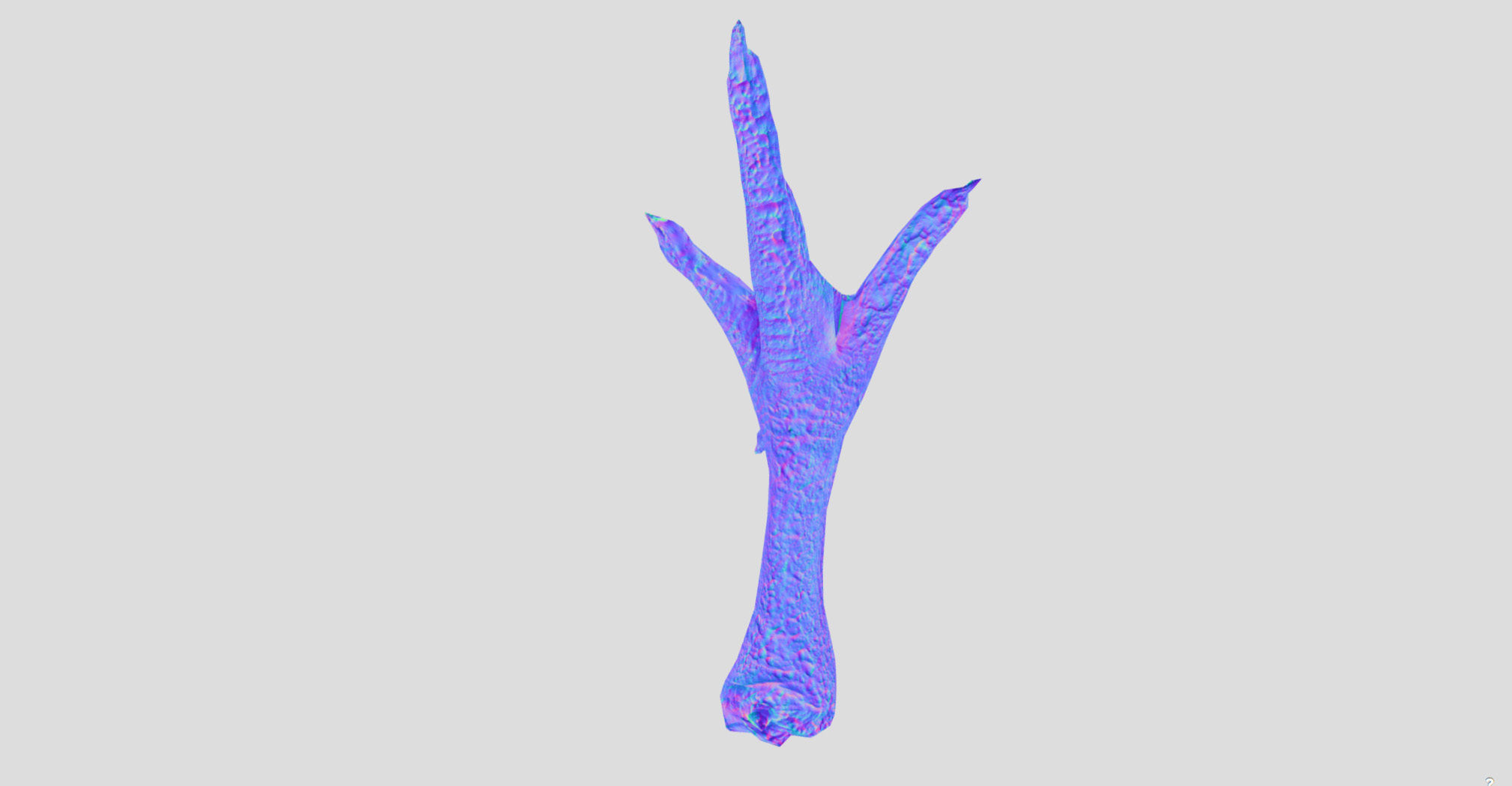 Raw Chicken feet 3dscan model Low-poly 3D model_22