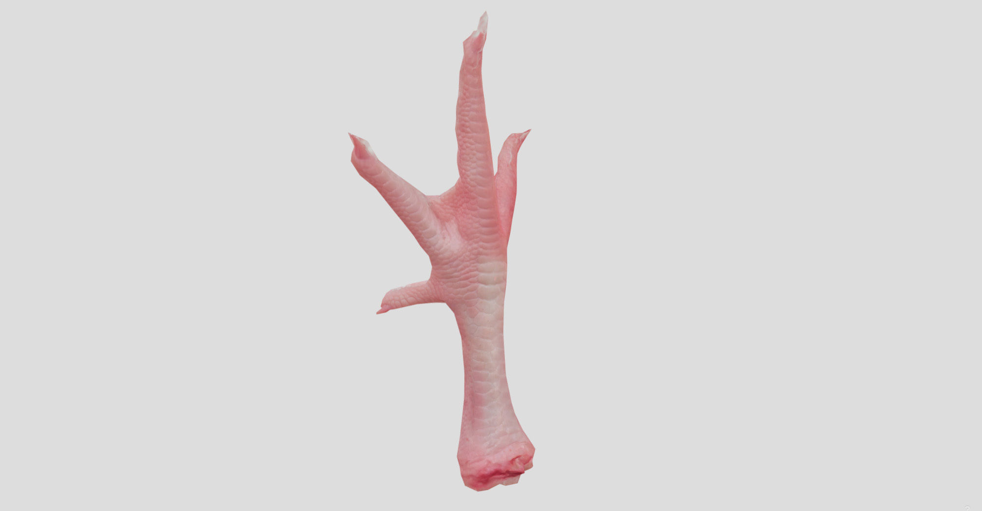 Raw Chicken feet 3dscan model Low-poly 3D model_18
