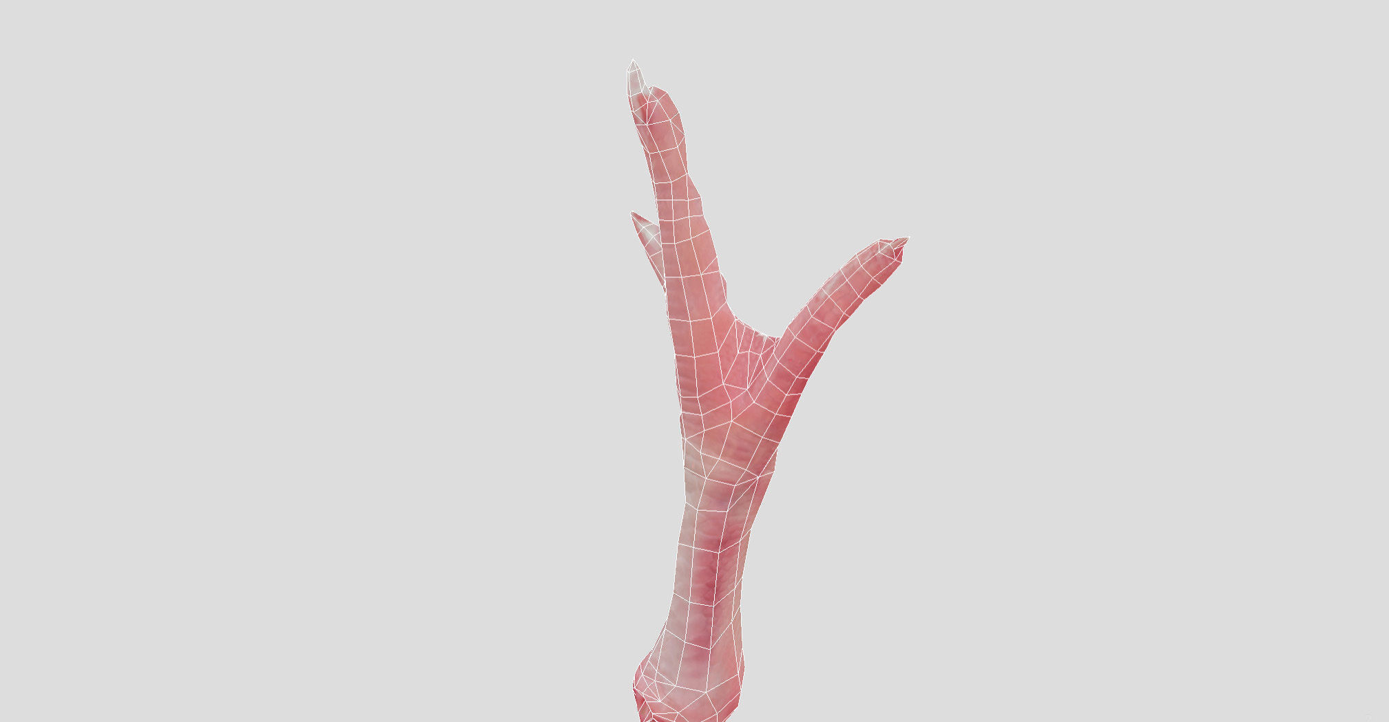Raw Chicken feet 3dscan model Low-poly 3D model_48