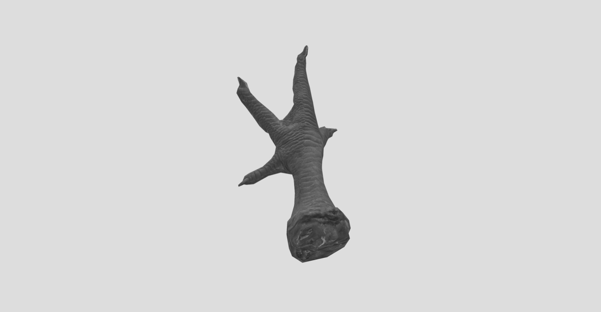 Raw Chicken feet 3dscan model Low-poly 3D model_27