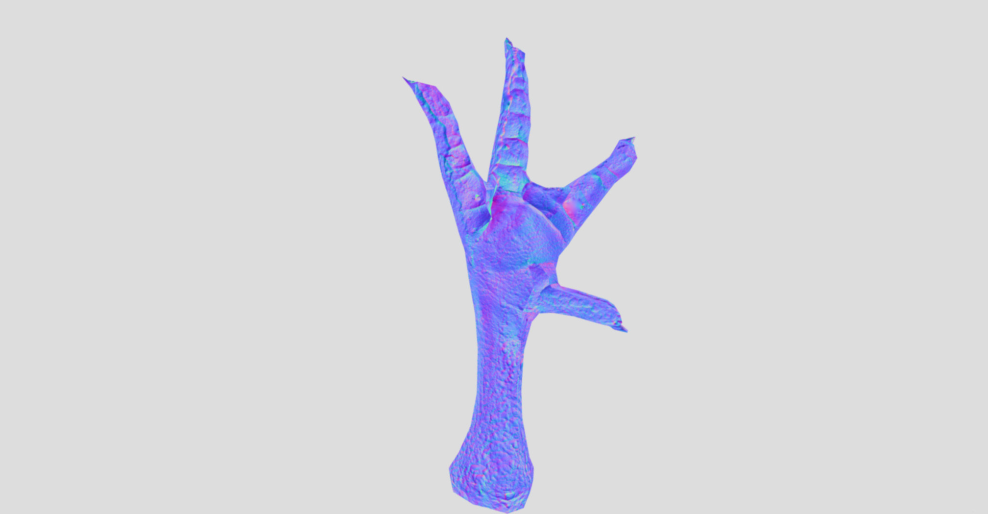 Raw Chicken feet 3dscan model Low-poly 3D model_23