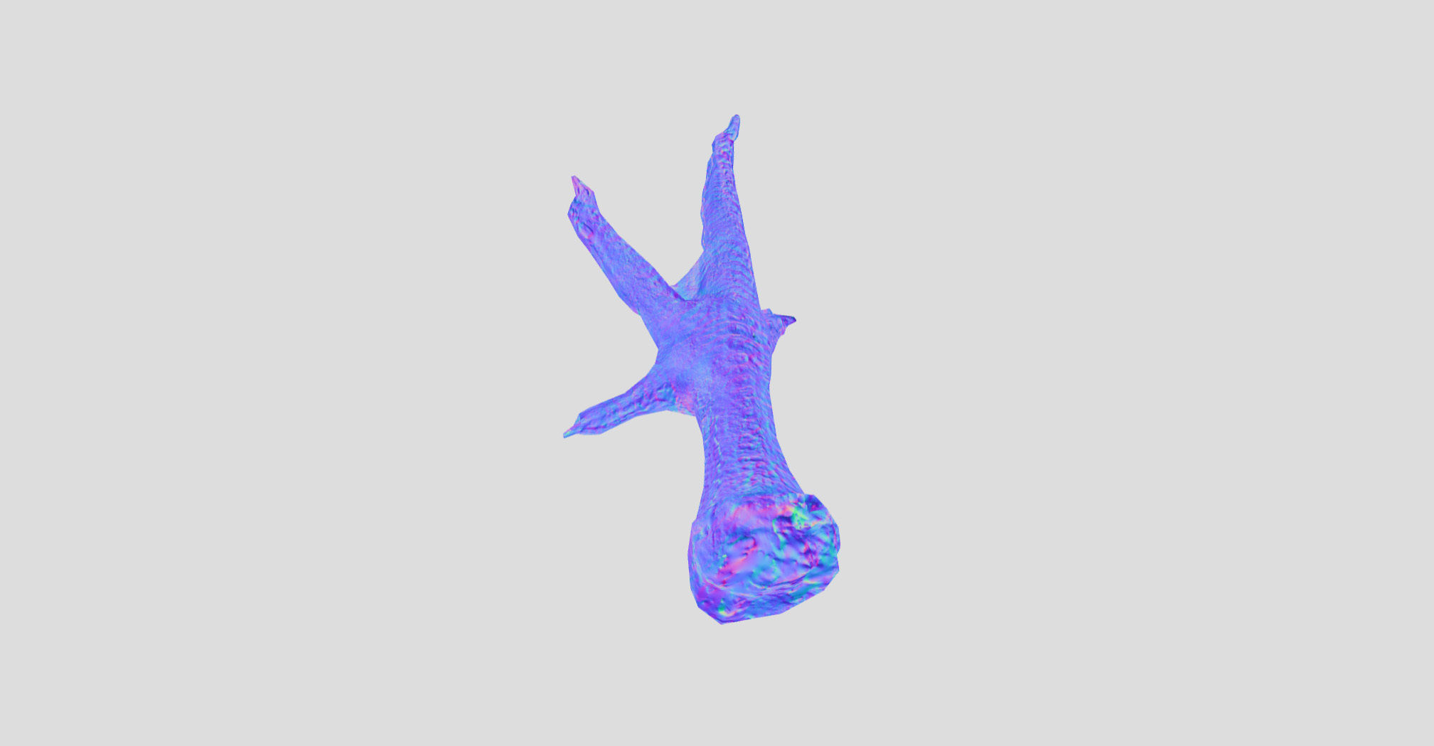 Raw Chicken feet 3dscan model Low-poly 3D model_26