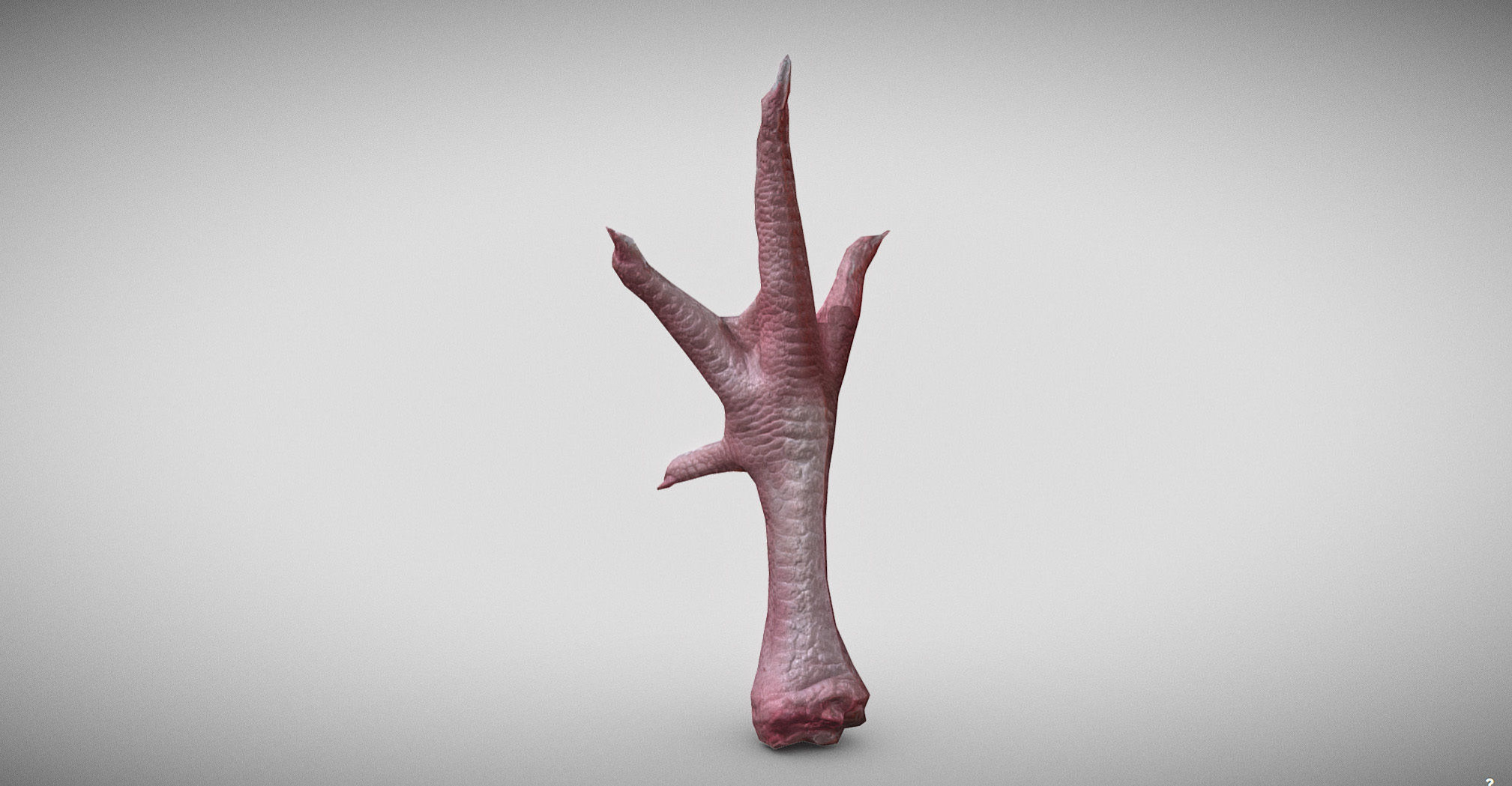 Raw Chicken feet 3dscan model Low-poly 3D model_7